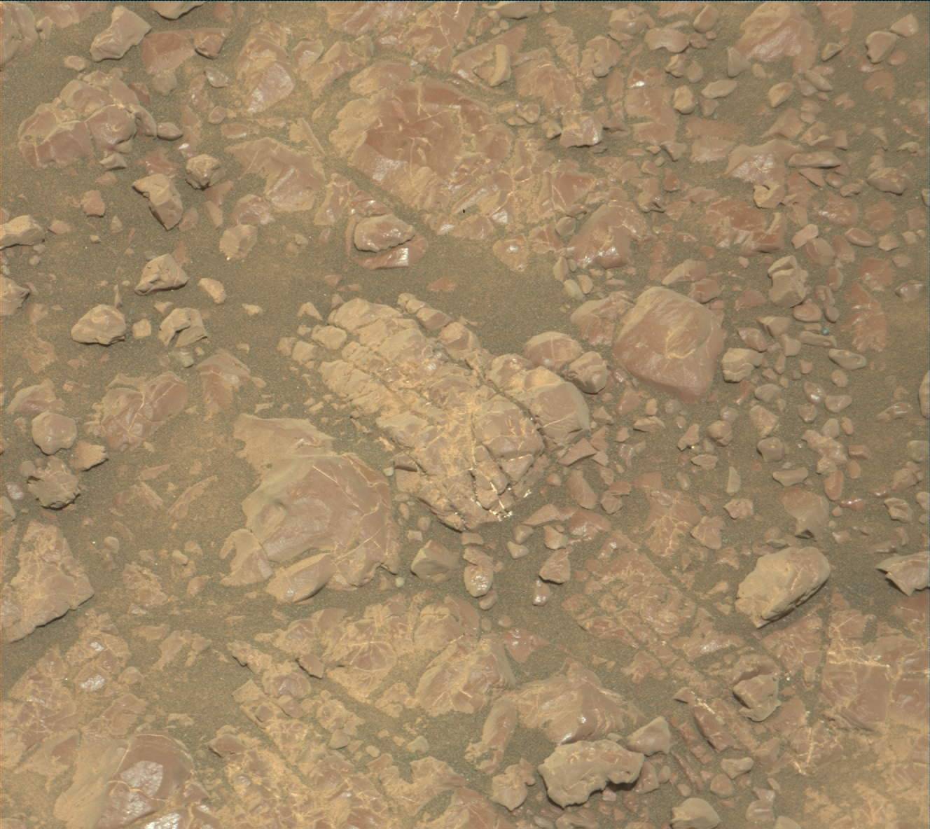 Nasa's Mars rover Curiosity acquired this image using its Mast Camera (Mastcam) on Sol 2252