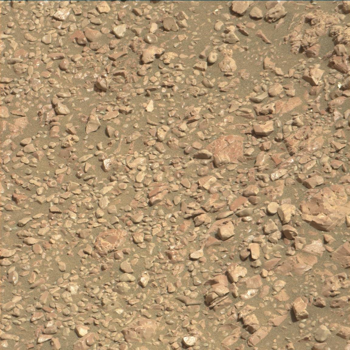 Nasa's Mars rover Curiosity acquired this image using its Mast Camera (Mastcam) on Sol 2252
