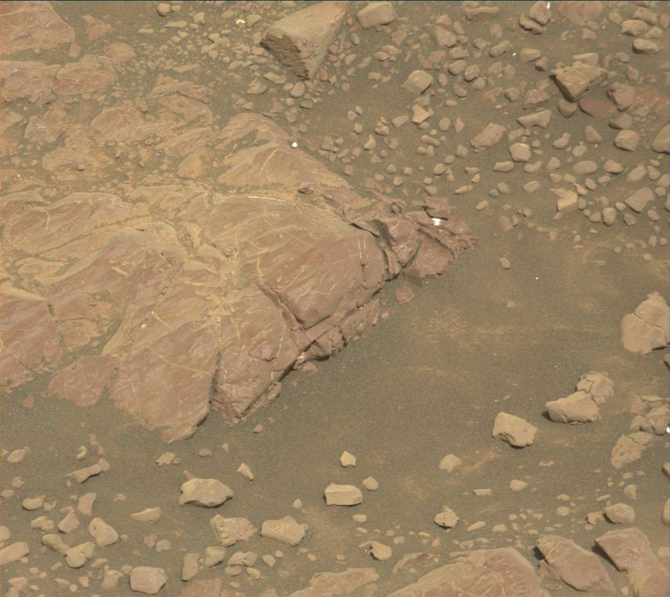Nasa's Mars rover Curiosity acquired this image using its Mast Camera (Mastcam) on Sol 2254