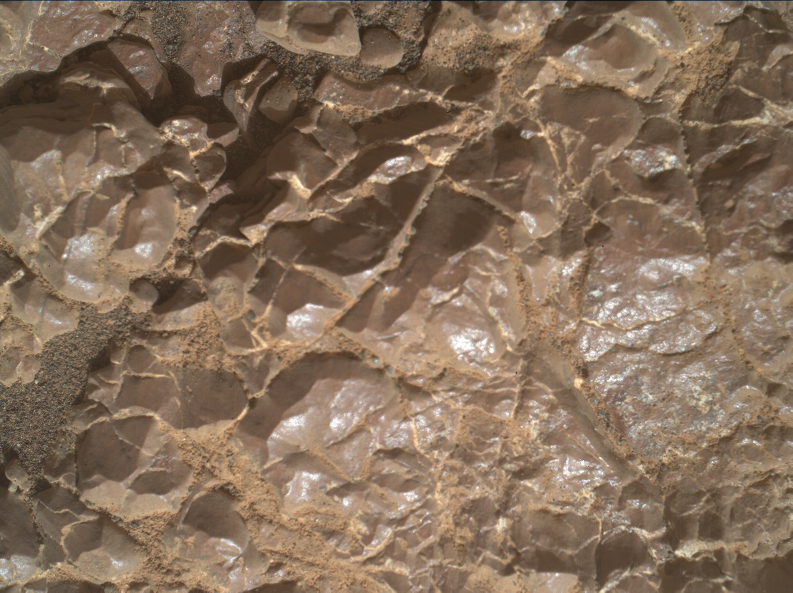 Nasa's Mars rover Curiosity acquired this image using its Mars Hand Lens Imager (MAHLI) on Sol 2258