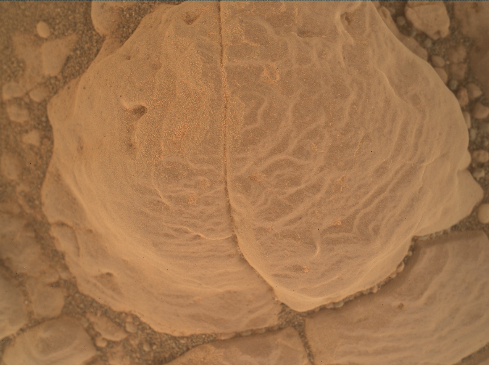 Nasa's Mars rover Curiosity acquired this image using its Mars Hand Lens Imager (MAHLI) on Sol 2304