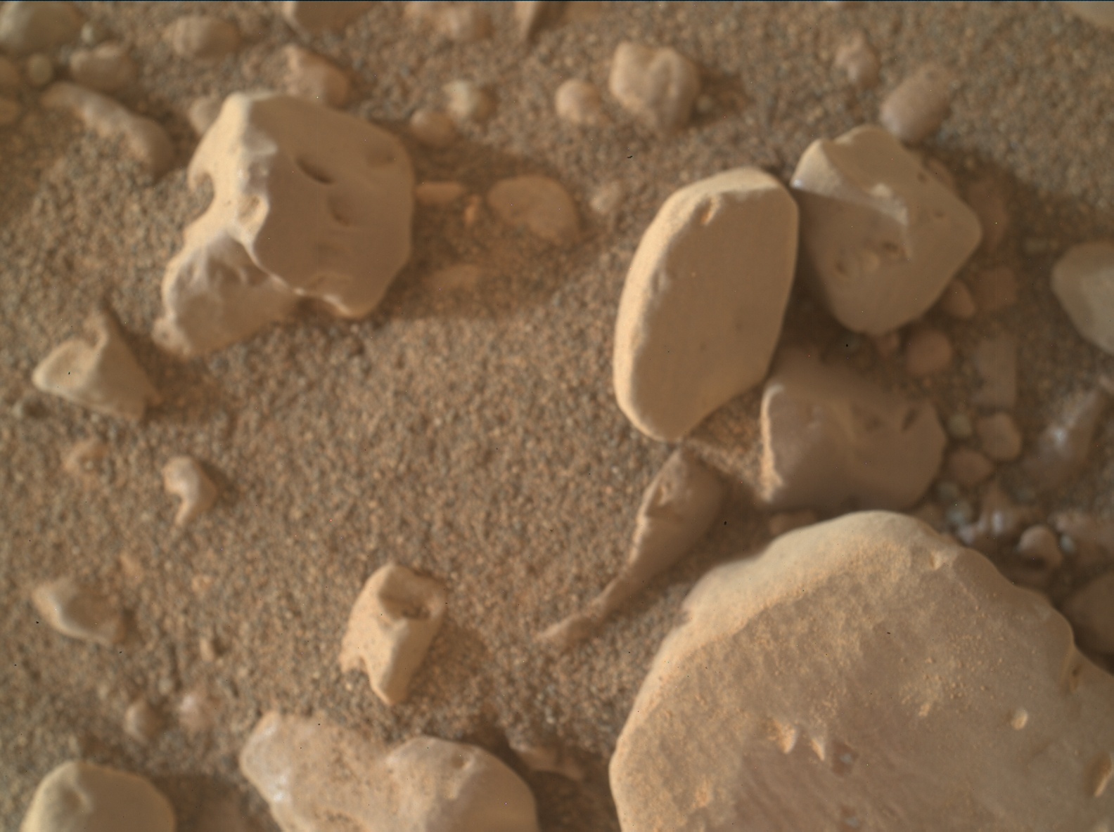 Nasa's Mars rover Curiosity acquired this image using its Mars Hand Lens Imager (MAHLI) on Sol 2308