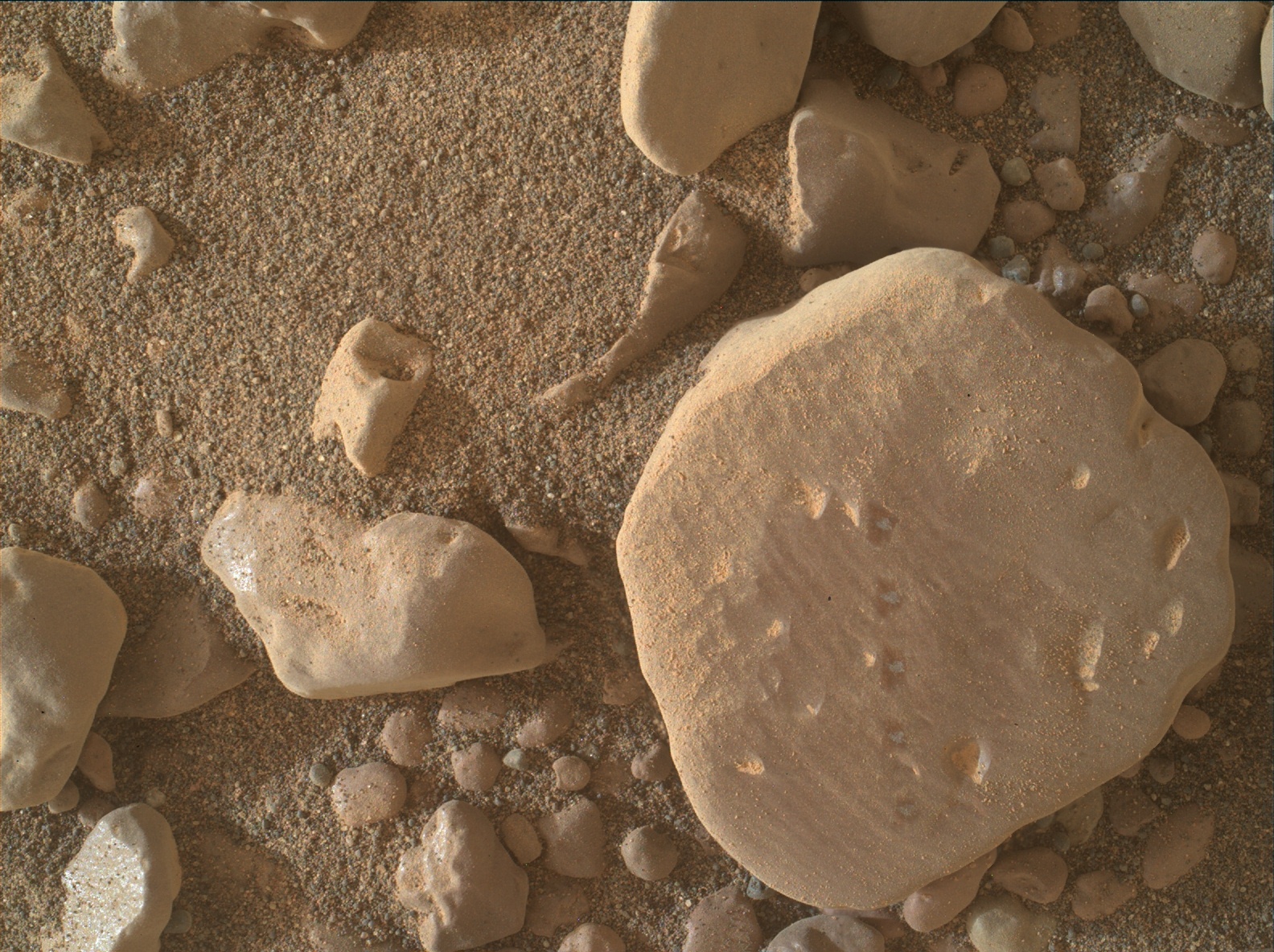 Nasa's Mars rover Curiosity acquired this image using its Mars Hand Lens Imager (MAHLI) on Sol 2309