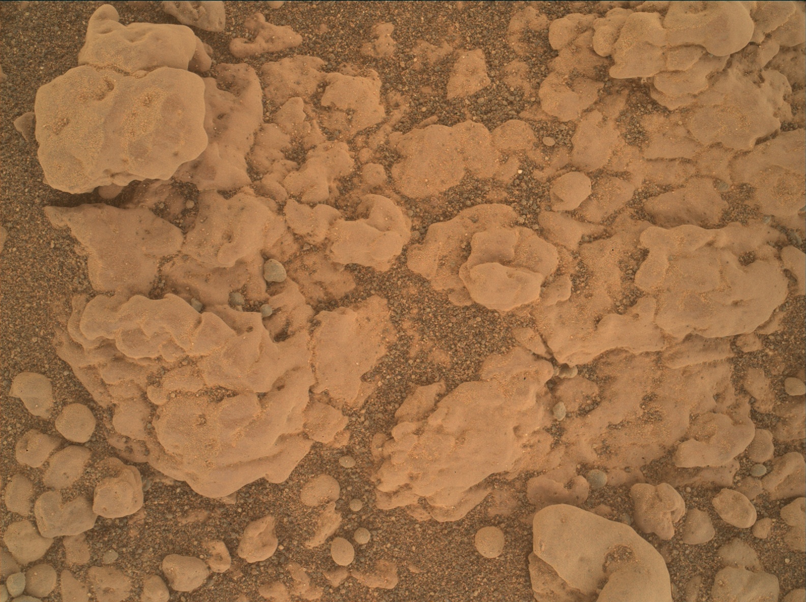 Nasa's Mars rover Curiosity acquired this image using its Mars Hand Lens Imager (MAHLI) on Sol 2311