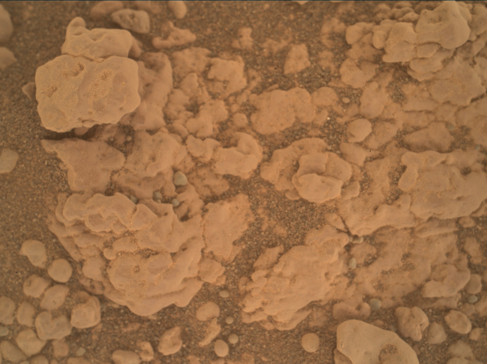 Nasa's Mars rover Curiosity acquired this image using its Mars Hand Lens Imager (MAHLI) on Sol 2311