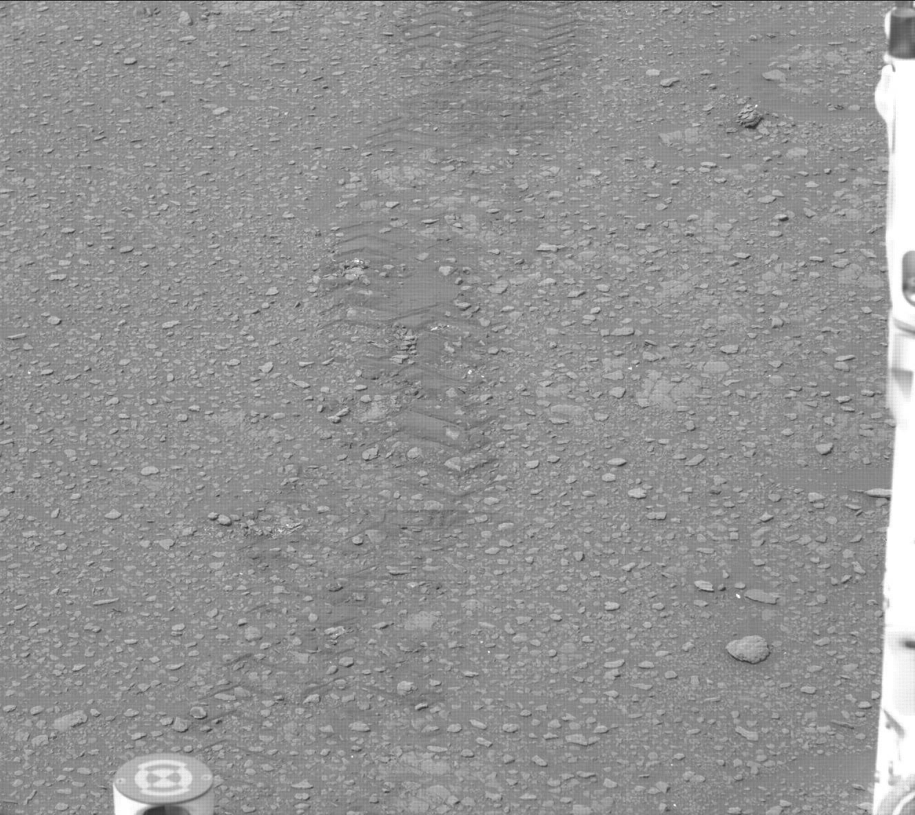 Nasa's Mars rover Curiosity acquired this image using its Mast Camera (Mastcam) on Sol 2312