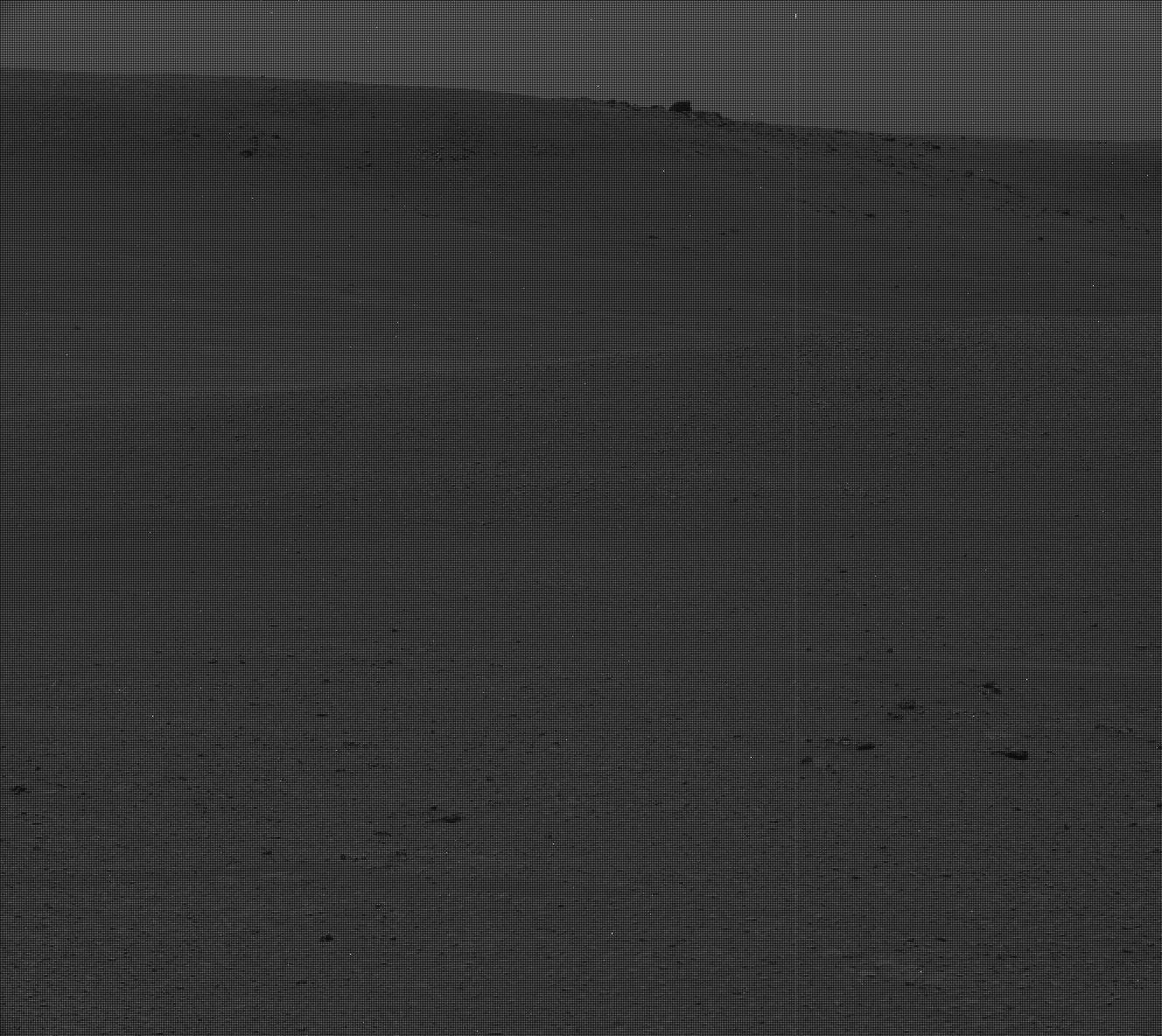 Nasa's Mars rover Curiosity acquired this image using its Mast Camera (Mastcam) on Sol 2313