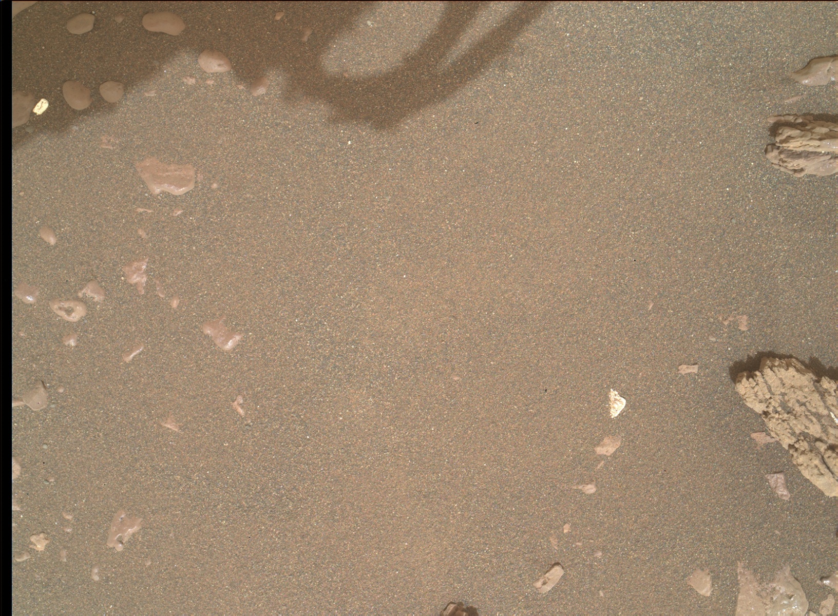 Nasa's Mars rover Curiosity acquired this image using its Mars Hand Lens Imager (MAHLI) on Sol 2313