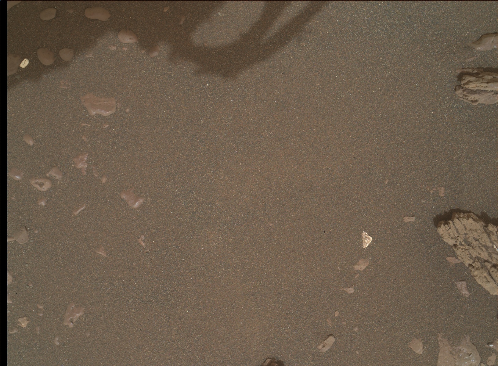 Nasa's Mars rover Curiosity acquired this image using its Mars Hand Lens Imager (MAHLI) on Sol 2313
