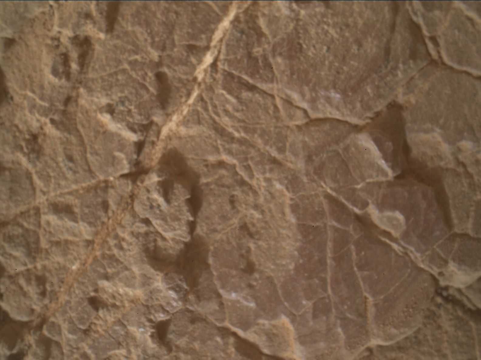 Nasa's Mars rover Curiosity acquired this image using its Mars Hand Lens Imager (MAHLI) on Sol 2318