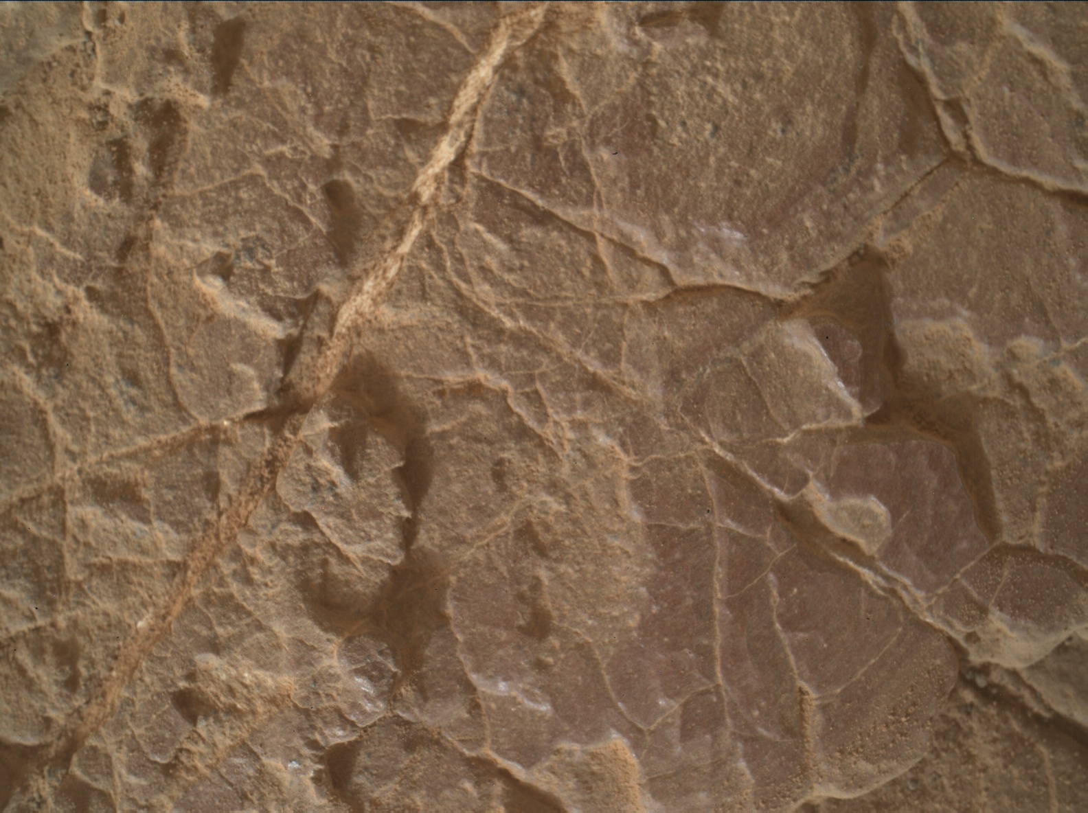 Nasa's Mars rover Curiosity acquired this image using its Mars Hand Lens Imager (MAHLI) on Sol 2318
