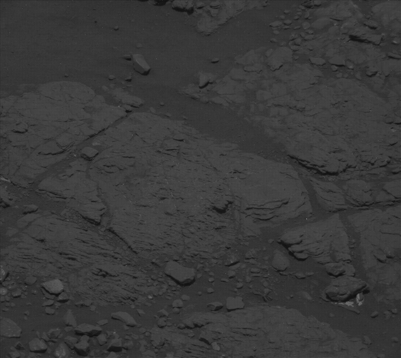 Nasa's Mars rover Curiosity acquired this image using its Mast Camera (Mastcam) on Sol 2319