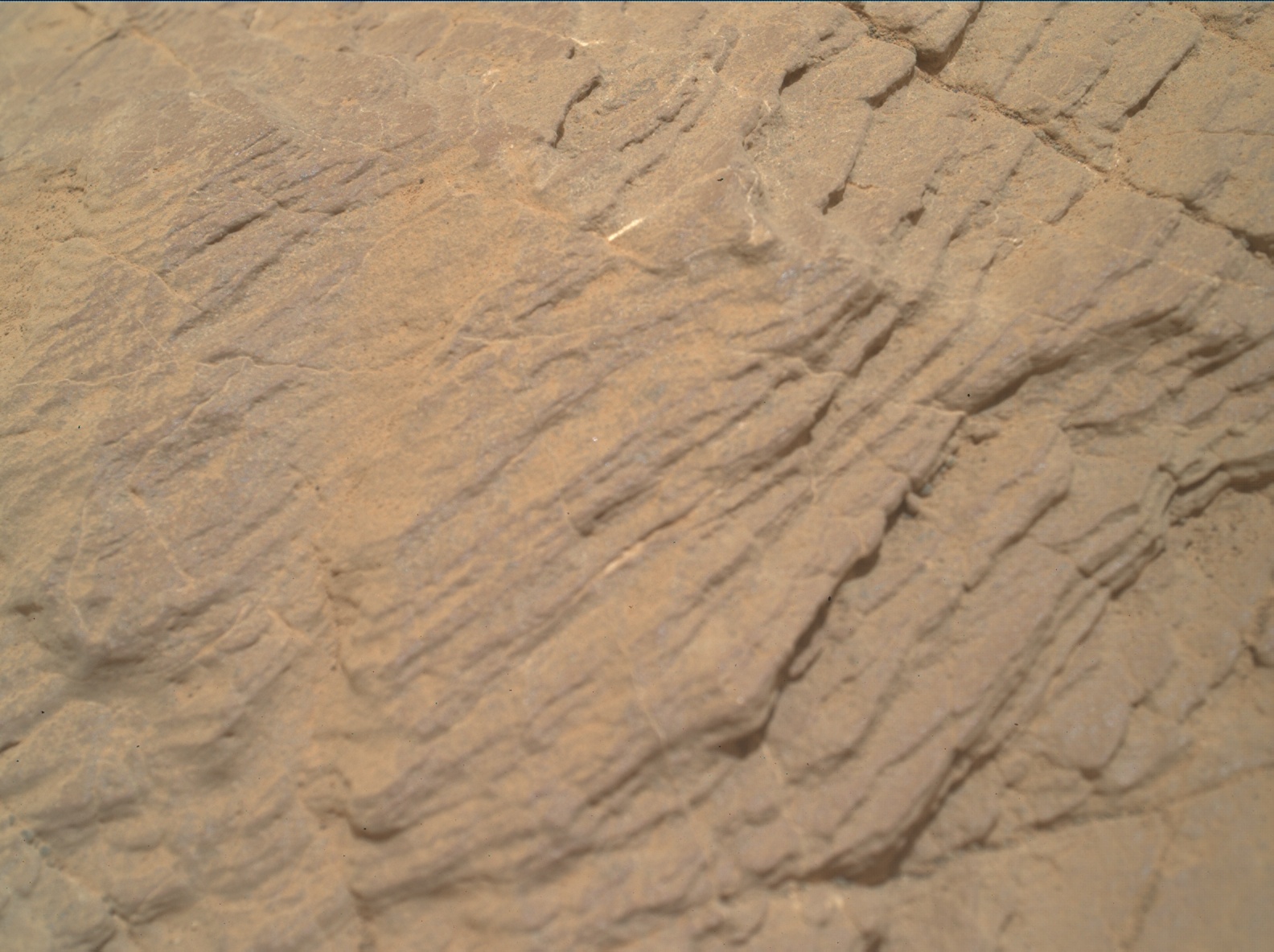 Nasa's Mars rover Curiosity acquired this image using its Mars Hand Lens Imager (MAHLI) on Sol 2320
