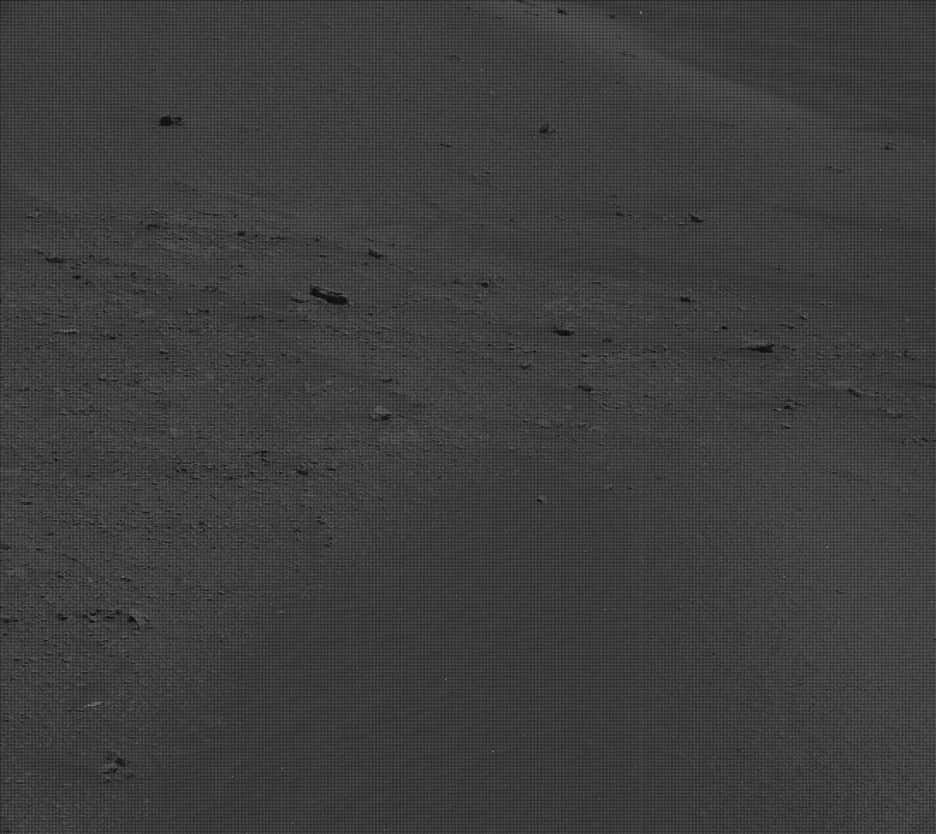 Nasa's Mars rover Curiosity acquired this image using its Mast Camera (Mastcam) on Sol 2338