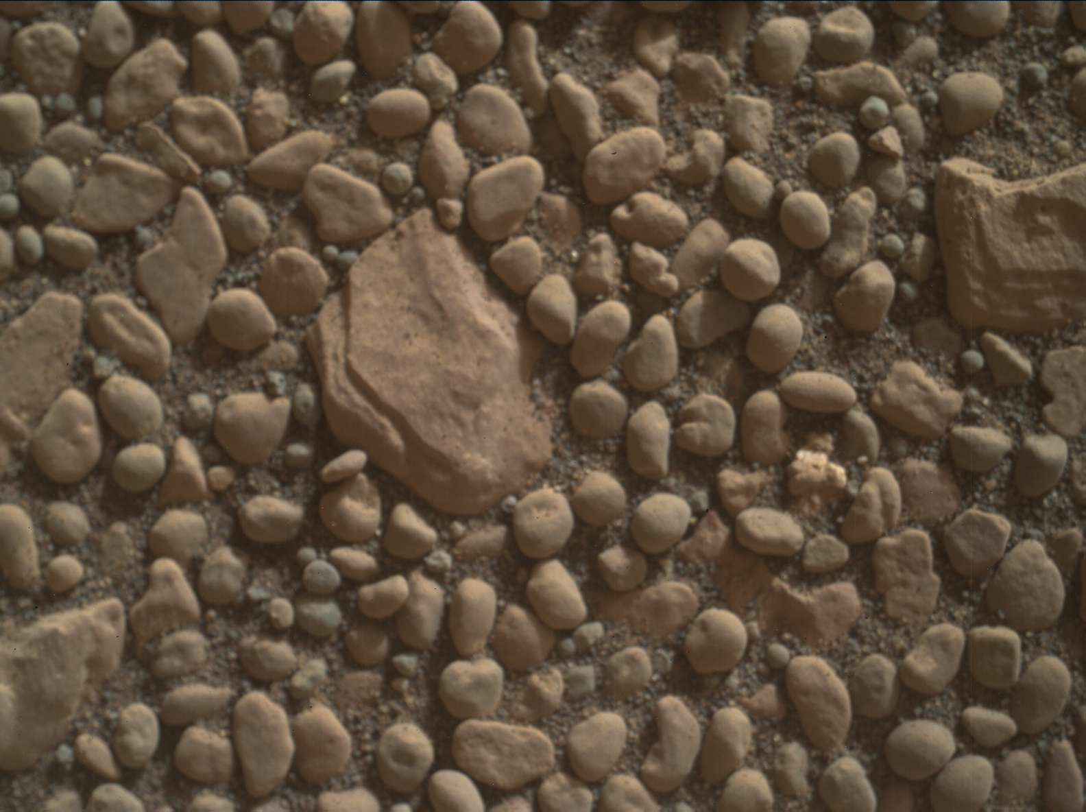 Nasa's Mars rover Curiosity acquired this image using its Mars Hand Lens Imager (MAHLI) on Sol 2356