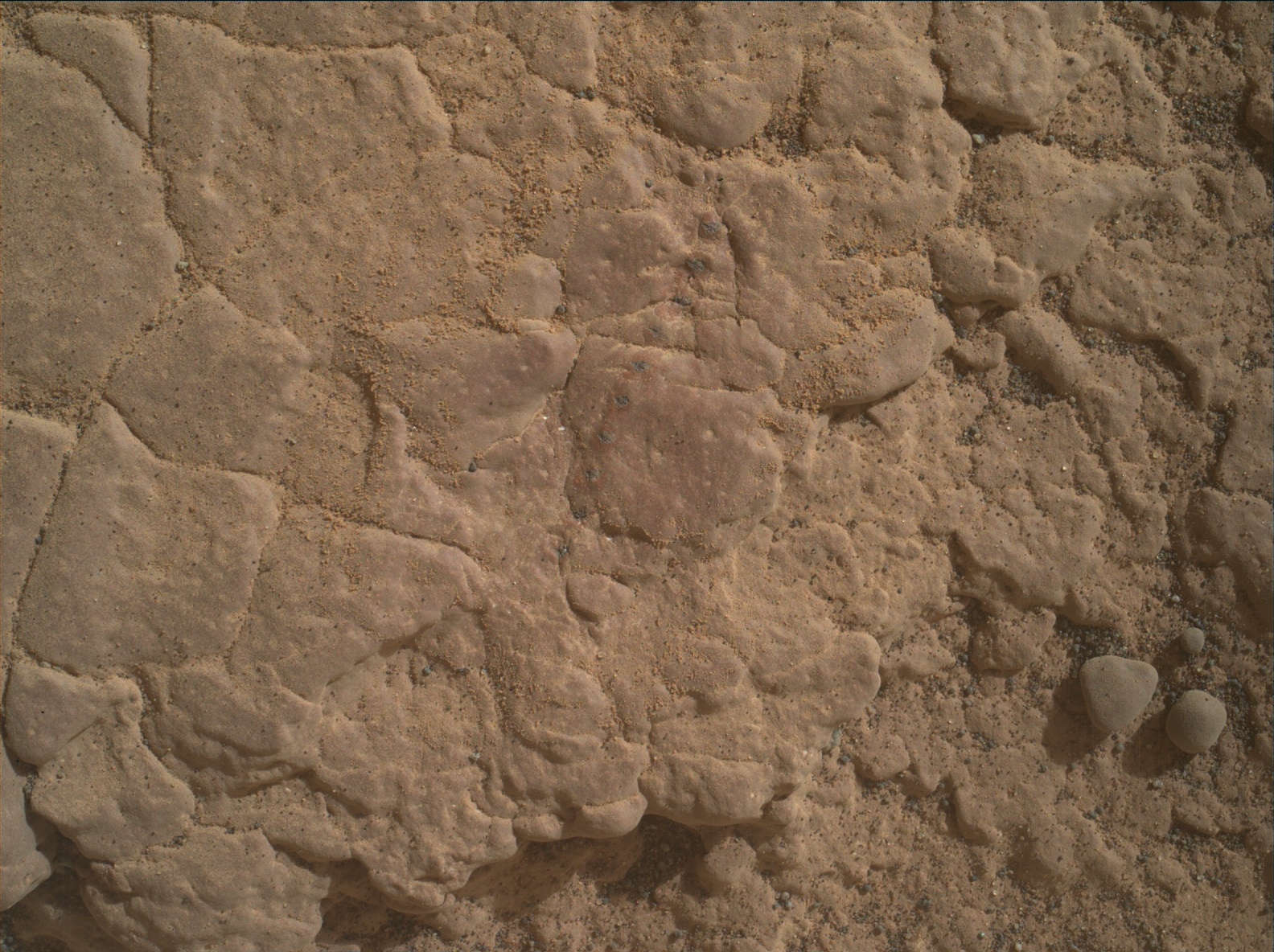 Nasa's Mars rover Curiosity acquired this image using its Mars Hand Lens Imager (MAHLI) on Sol 2357