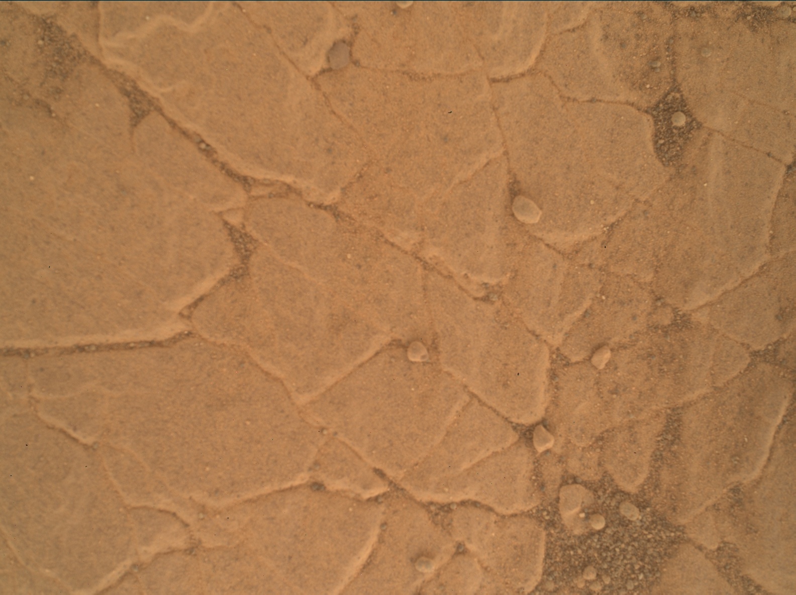 Nasa's Mars rover Curiosity acquired this image using its Mars Hand Lens Imager (MAHLI) on Sol 2359