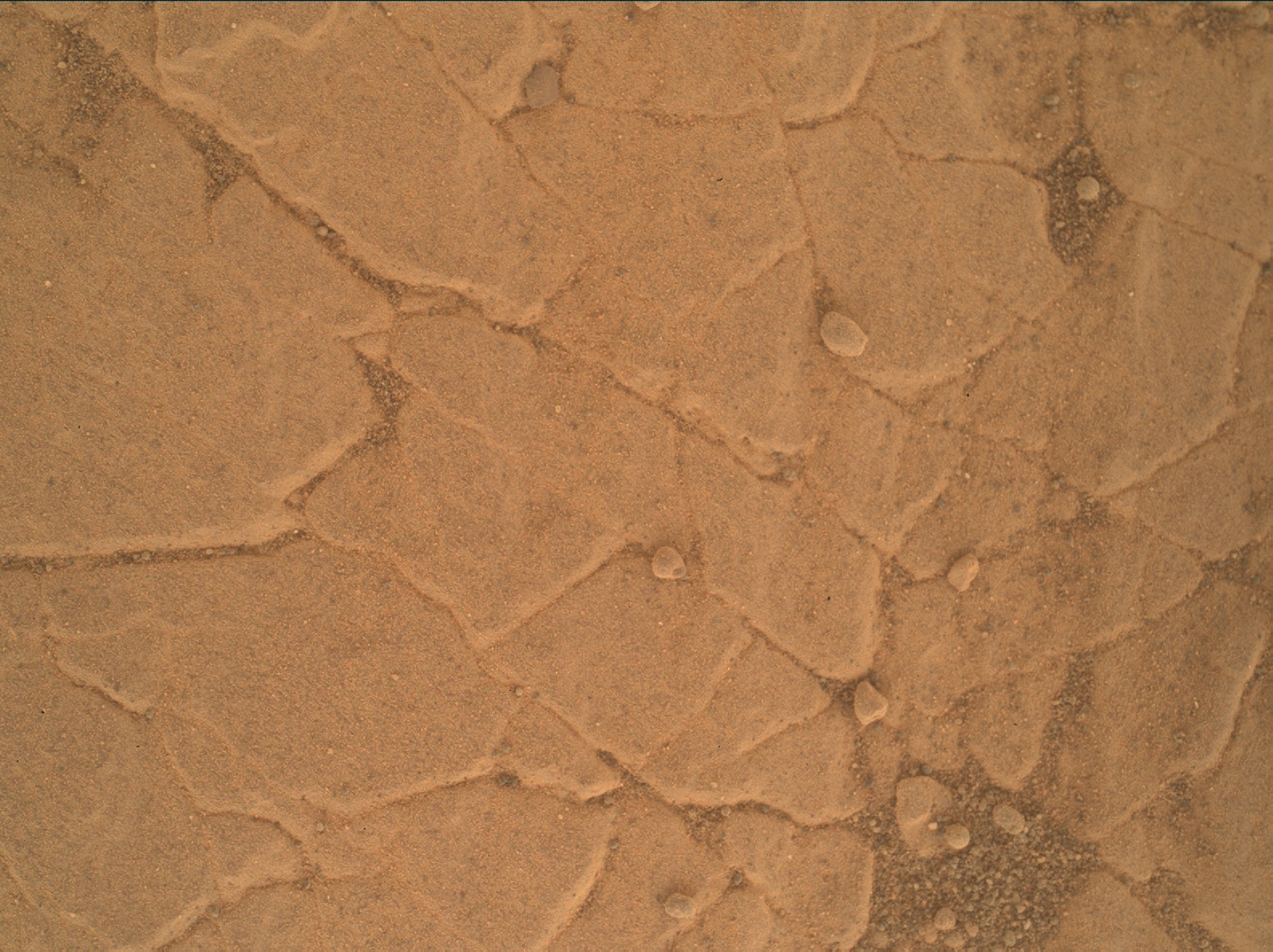 Nasa's Mars rover Curiosity acquired this image using its Mars Hand Lens Imager (MAHLI) on Sol 2359