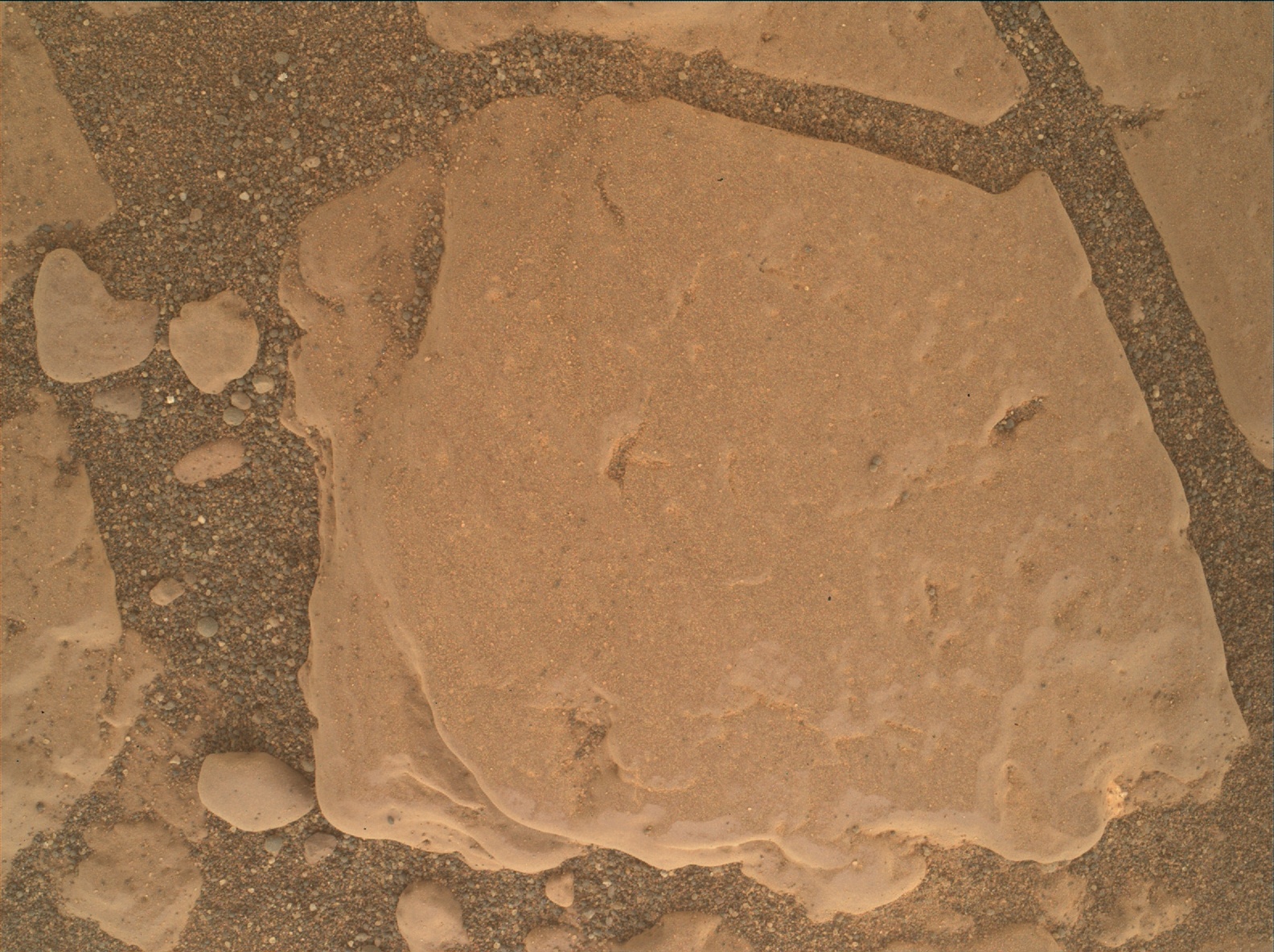 Nasa's Mars rover Curiosity acquired this image using its Mars Hand Lens Imager (MAHLI) on Sol 2361