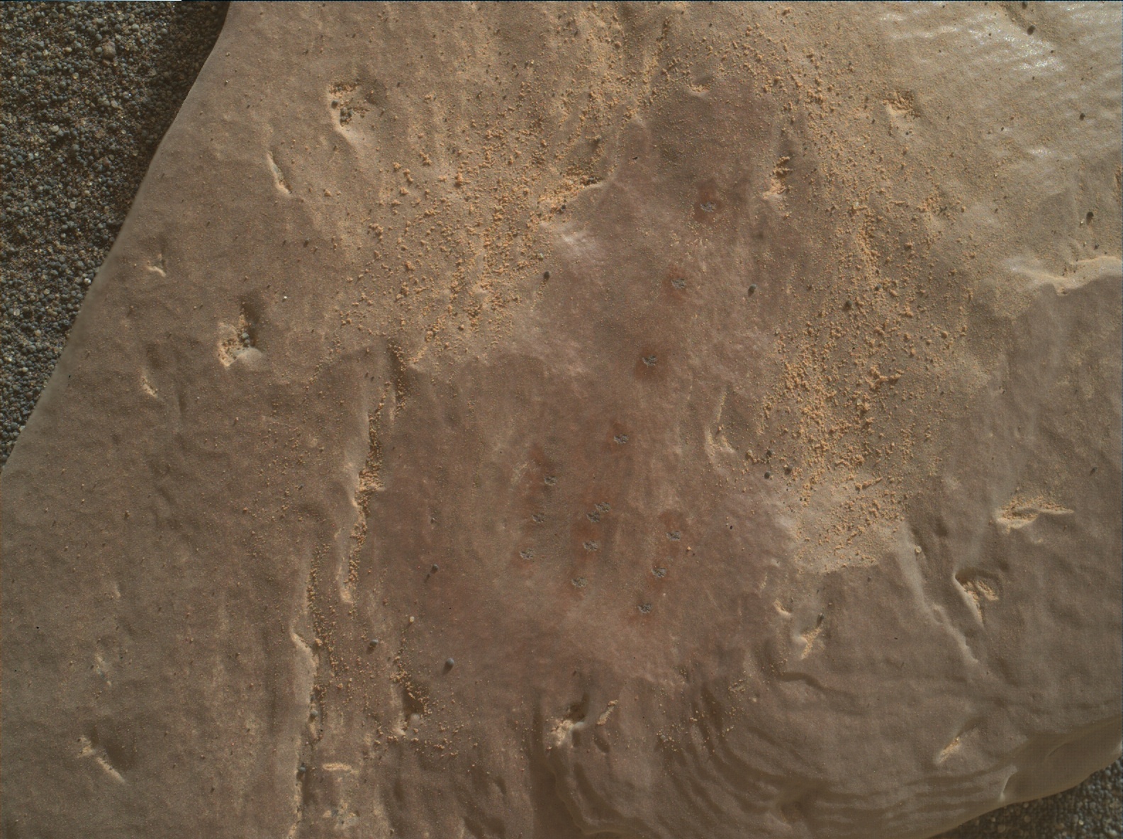 Nasa's Mars rover Curiosity acquired this image using its Mars Hand Lens Imager (MAHLI) on Sol 2364