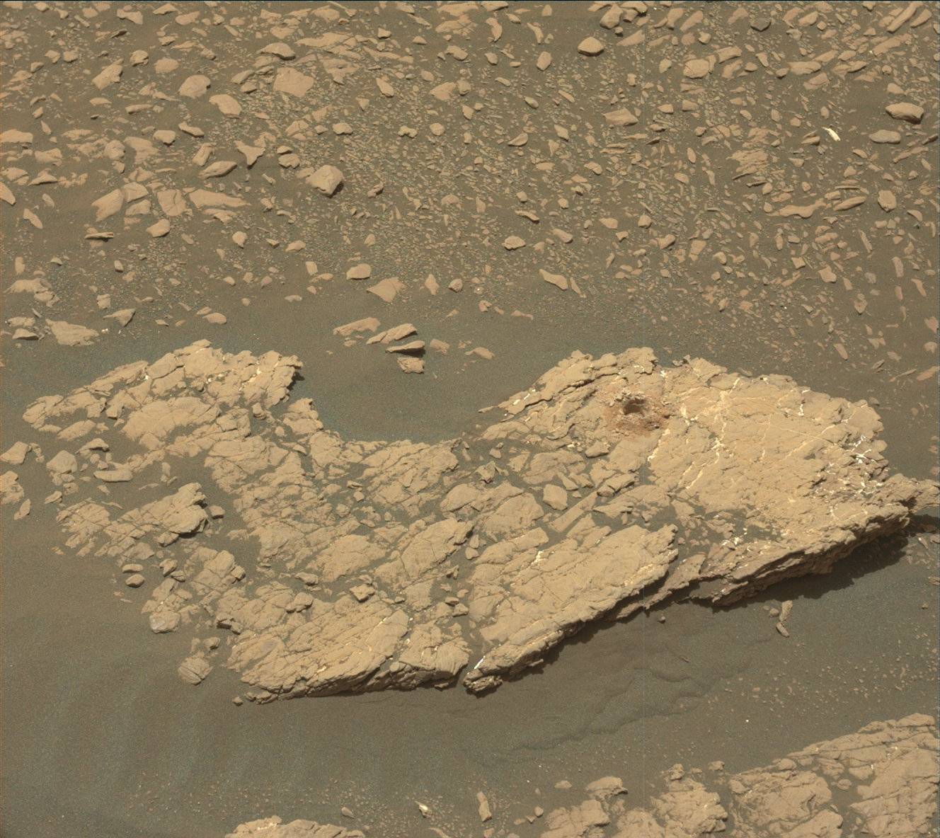 Nasa's Mars rover Curiosity acquired this image using its Mast Camera (Mastcam) on Sol 2384