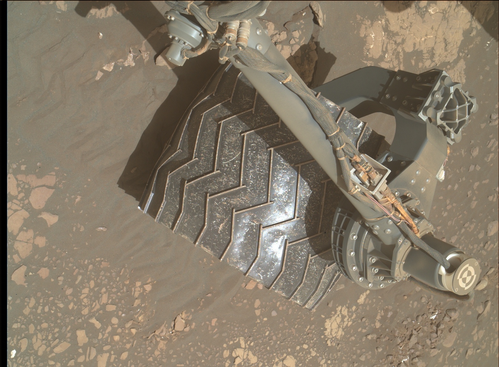 Nasa's Mars rover Curiosity acquired this image using its Mars Hand Lens Imager (MAHLI) on Sol 2407