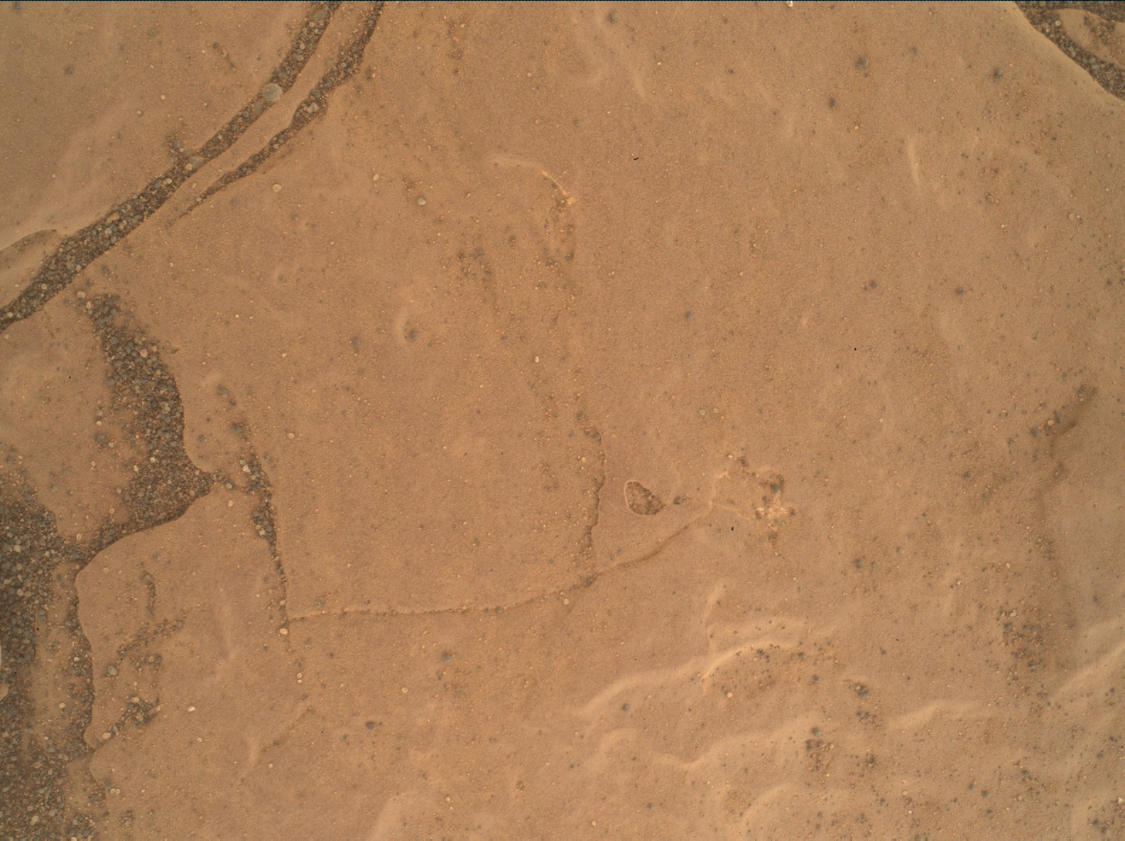 Nasa's Mars rover Curiosity acquired this image using its Mars Hand Lens Imager (MAHLI) on Sol 2408