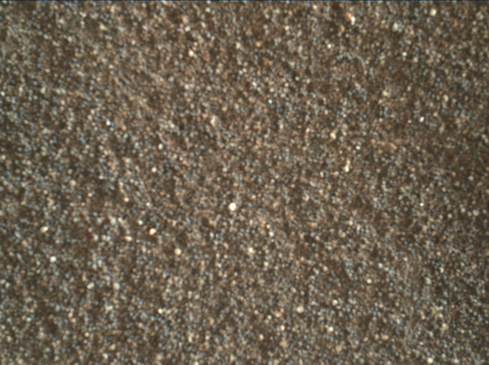 Nasa's Mars rover Curiosity acquired this image using its Mars Hand Lens Imager (MAHLI) on Sol 2410