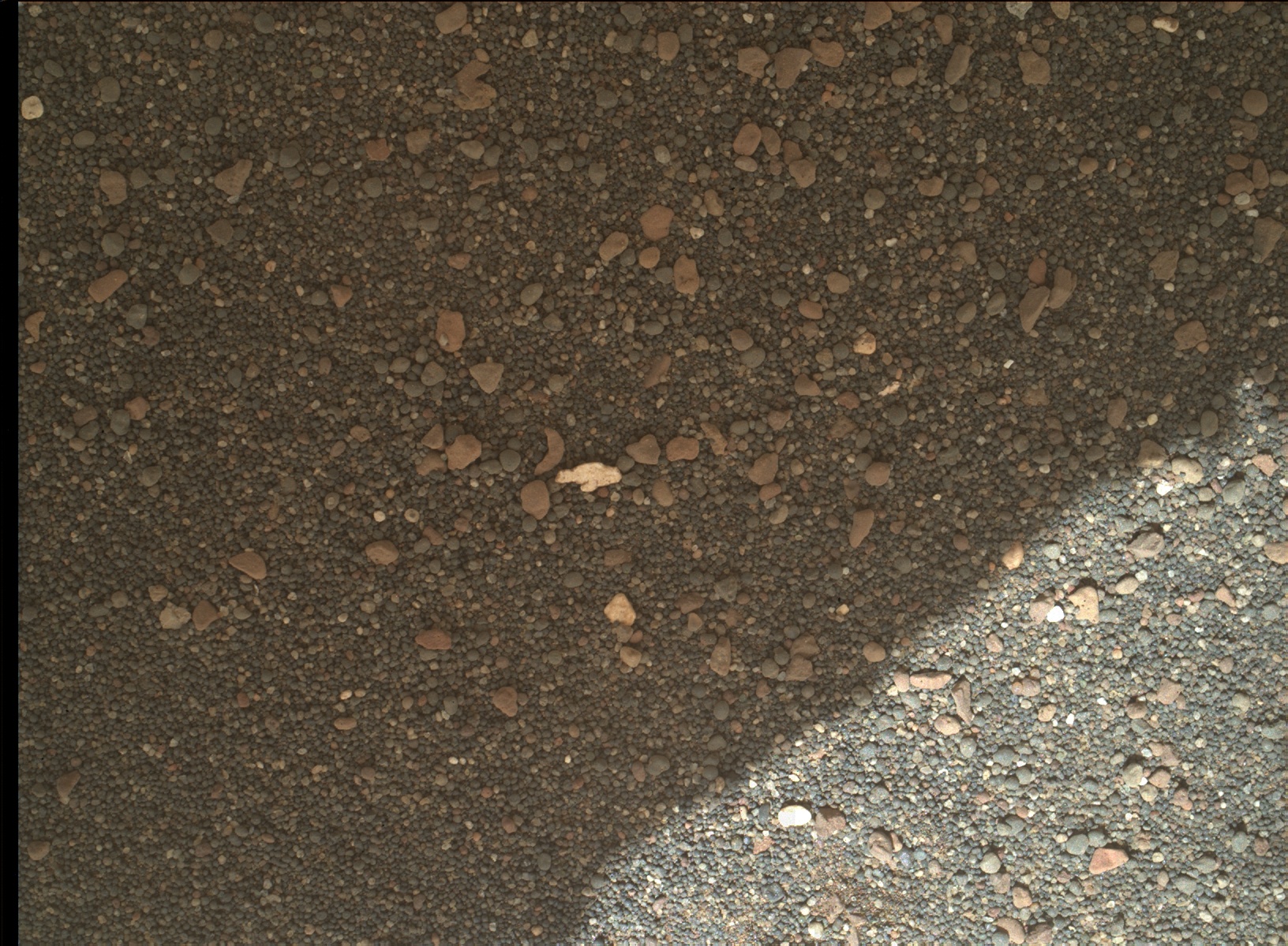 Nasa's Mars rover Curiosity acquired this image using its Mars Hand Lens Imager (MAHLI) on Sol 2411