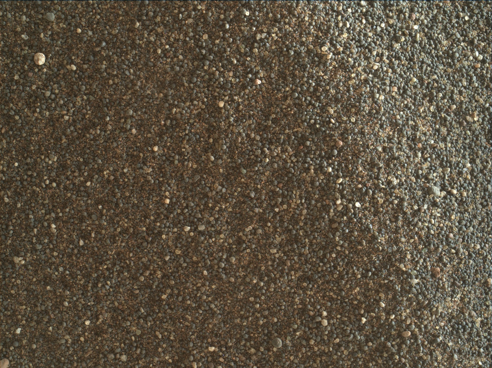 Nasa's Mars rover Curiosity acquired this image using its Mars Hand Lens Imager (MAHLI) on Sol 2412