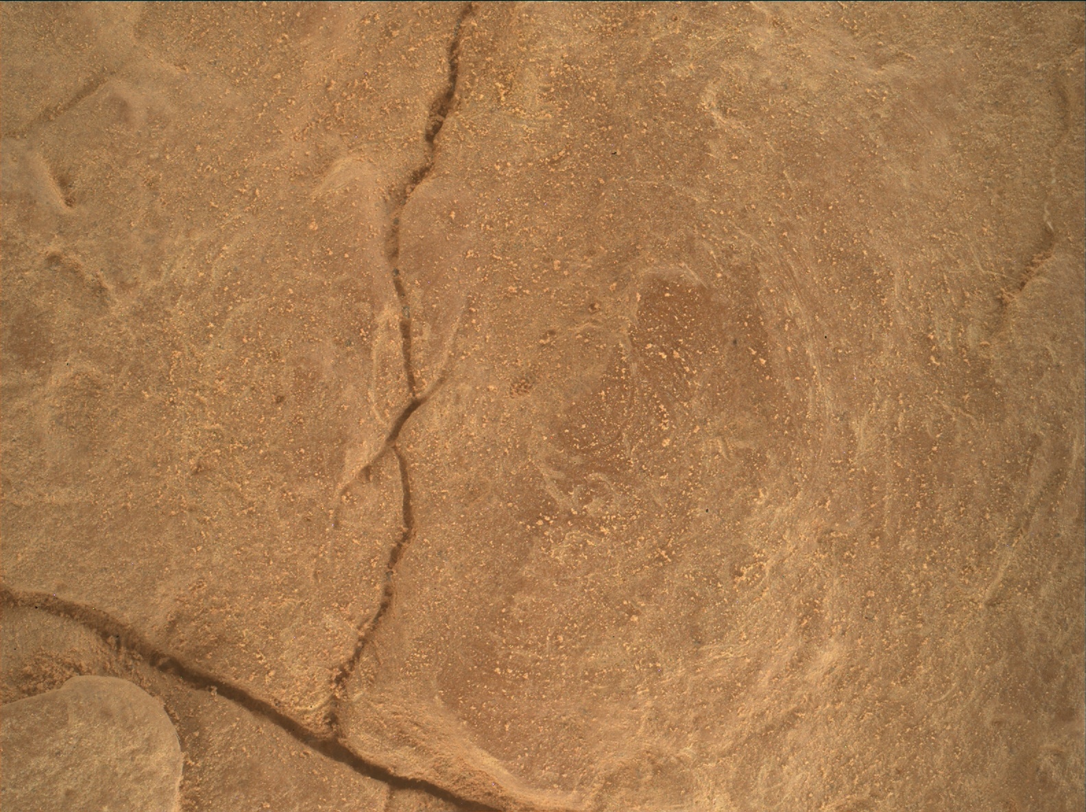 Nasa's Mars rover Curiosity acquired this image using its Mars Hand Lens Imager (MAHLI) on Sol 2416