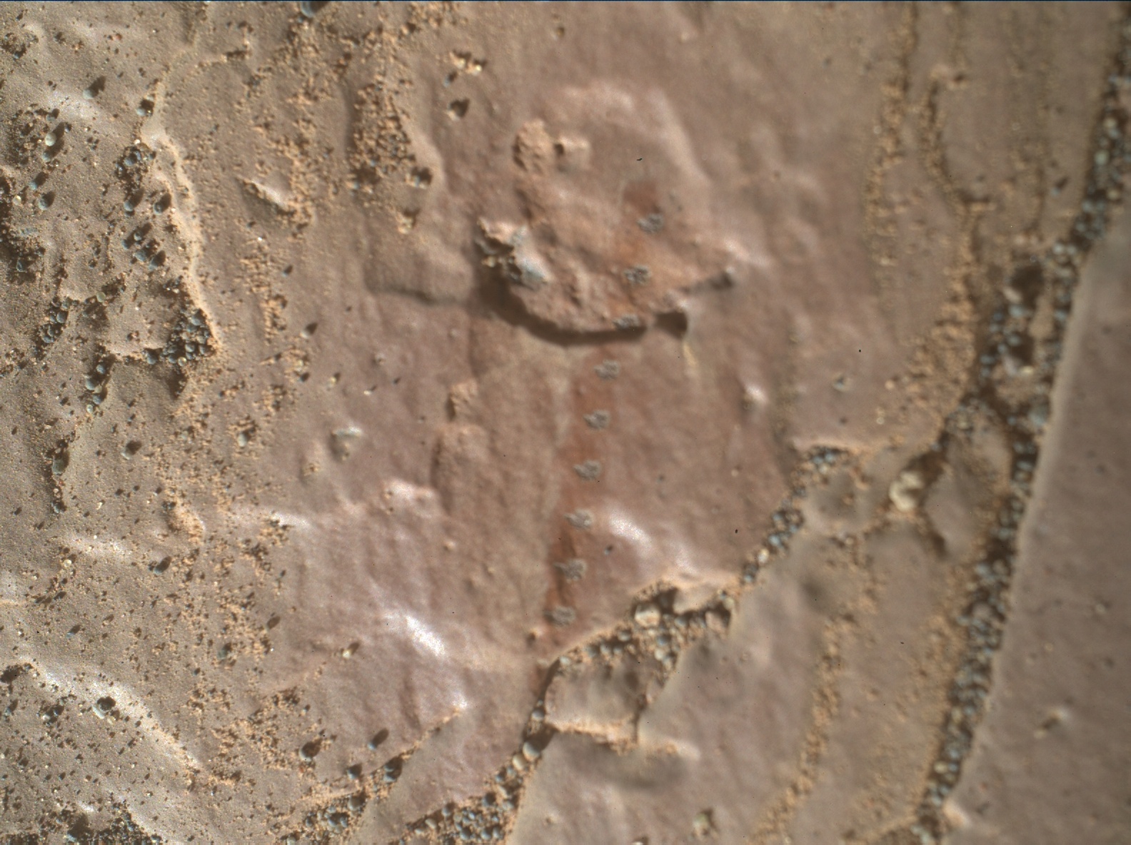 Nasa's Mars rover Curiosity acquired this image using its Mars Hand Lens Imager (MAHLI) on Sol 2419