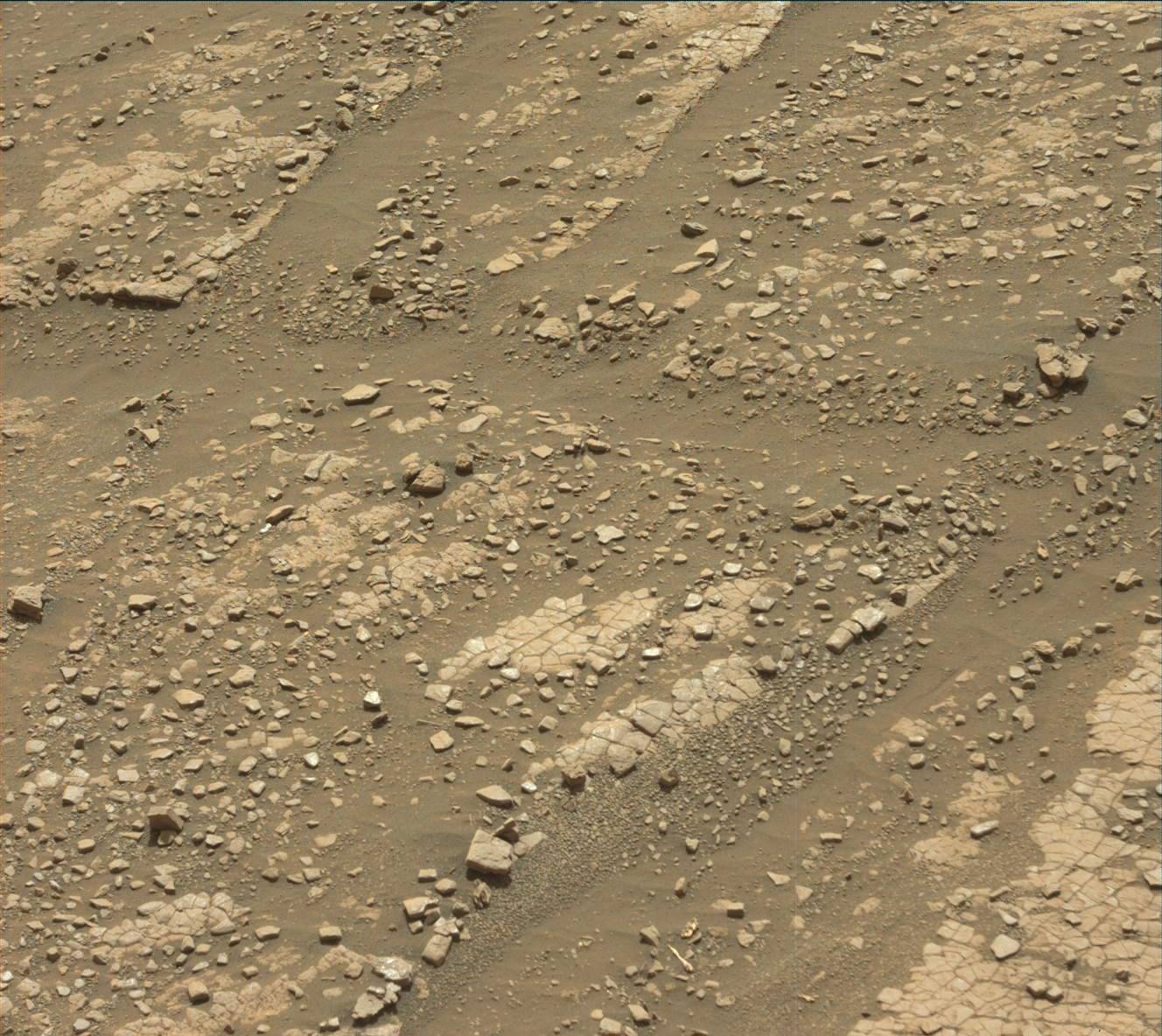Nasa's Mars rover Curiosity acquired this image using its Mast Camera (Mastcam) on Sol 2420
