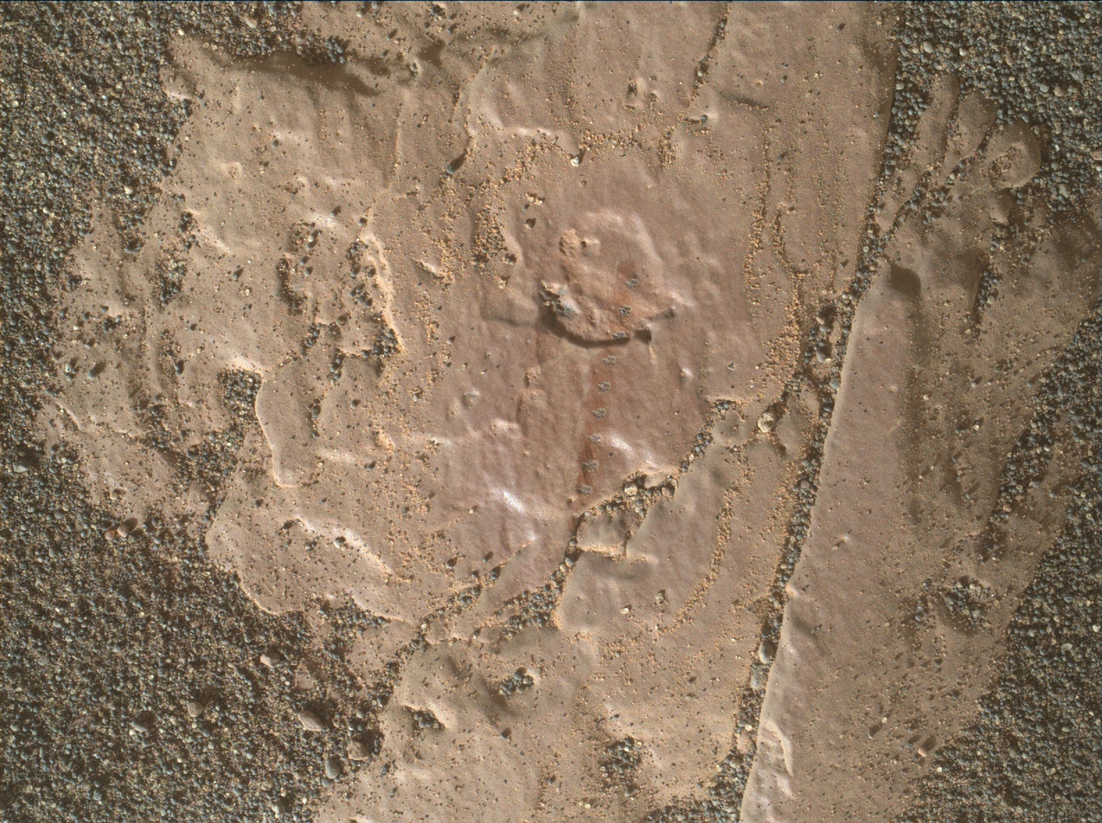 Nasa's Mars rover Curiosity acquired this image using its Mars Hand Lens Imager (MAHLI) on Sol 2420