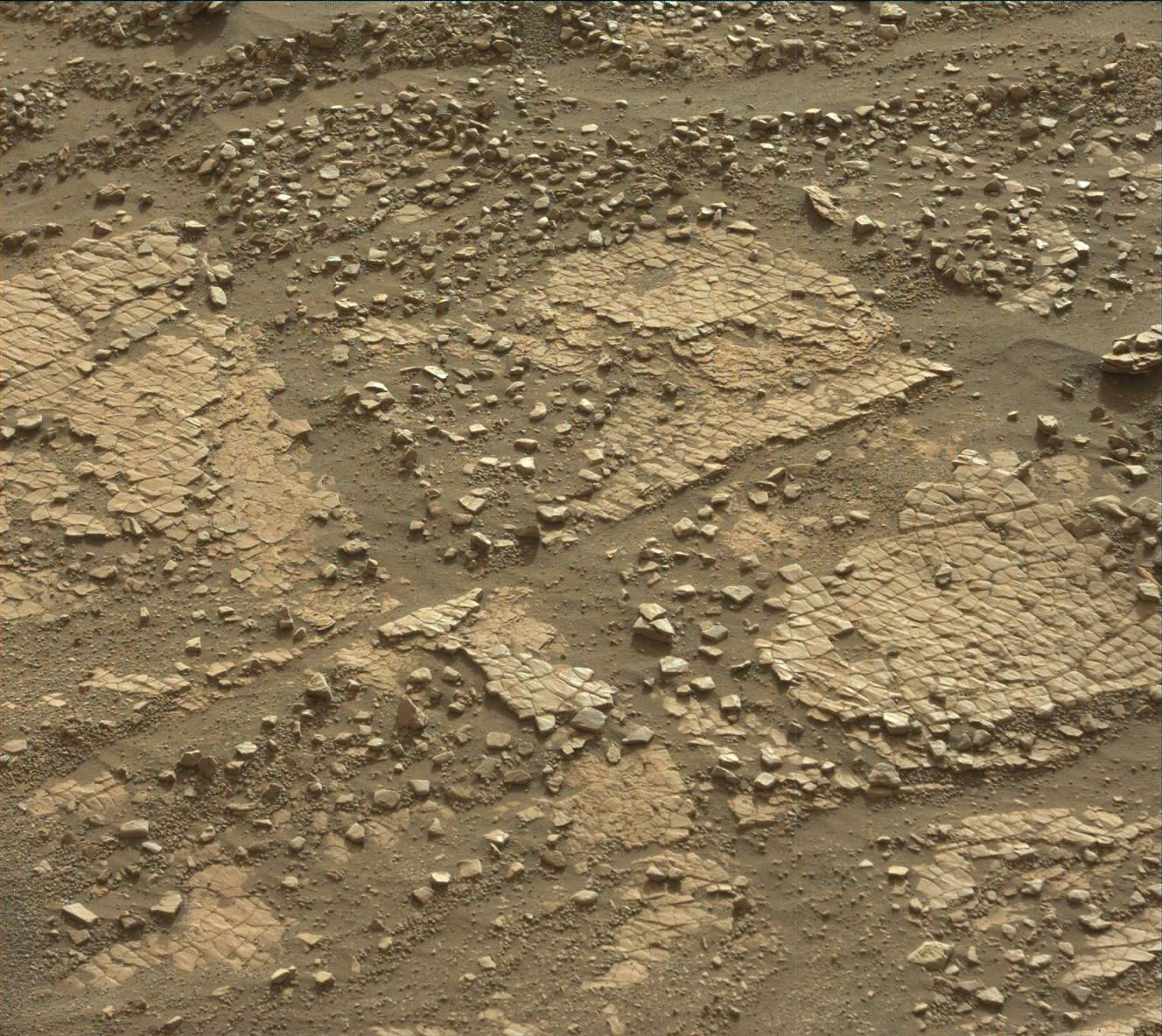 Nasa's Mars rover Curiosity acquired this image using its Mast Camera (Mastcam) on Sol 2422