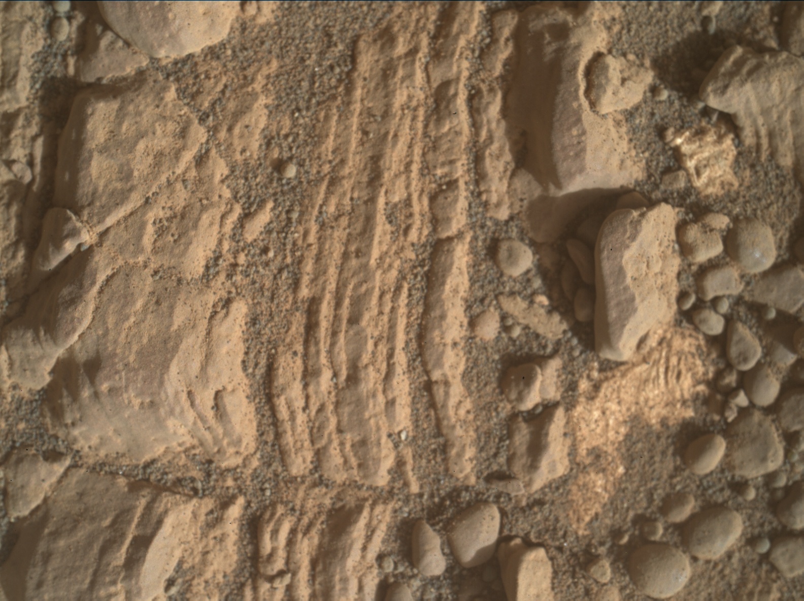 Nasa's Mars rover Curiosity acquired this image using its Mars Hand Lens Imager (MAHLI) on Sol 2424