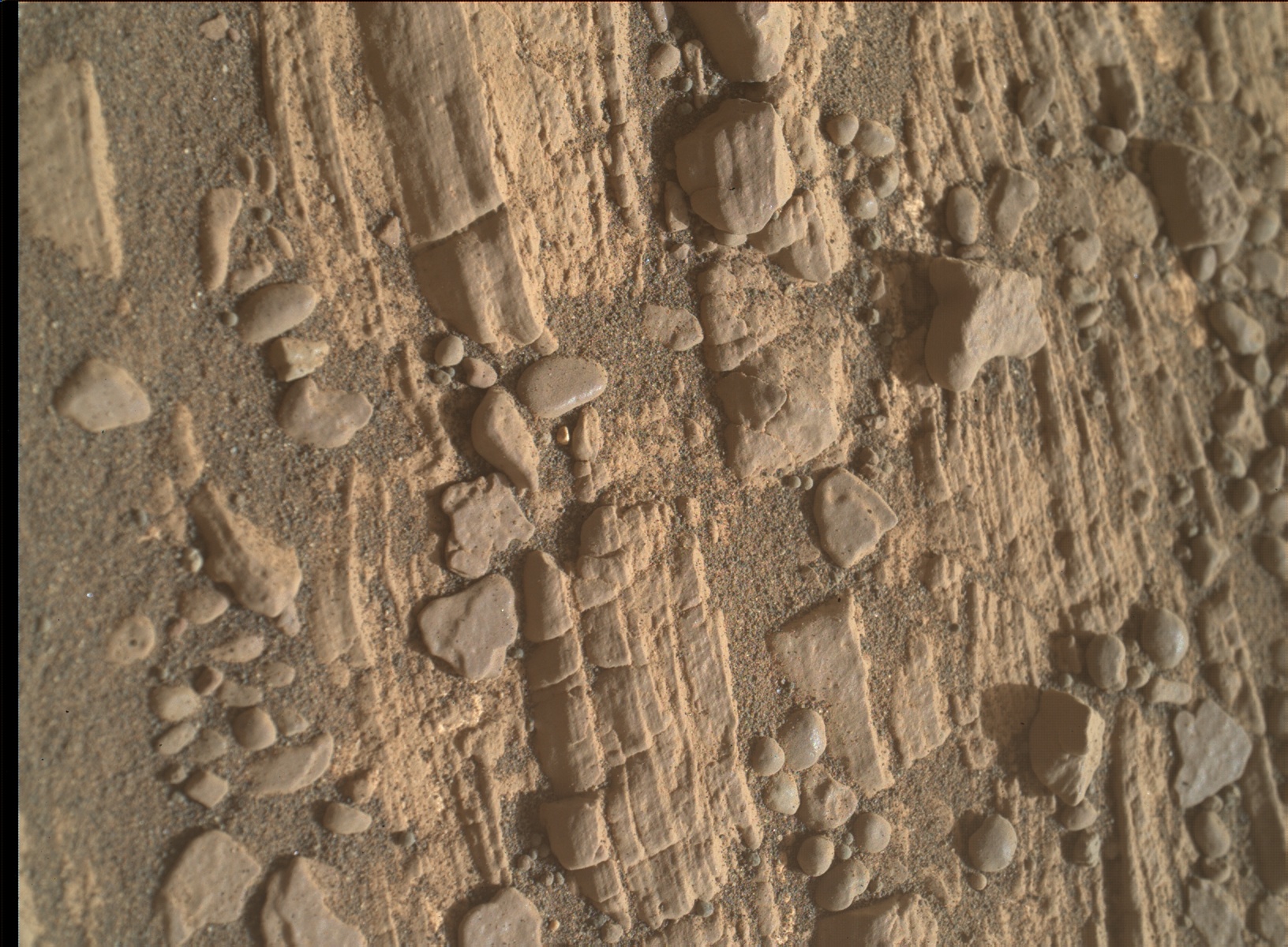 Nasa's Mars rover Curiosity acquired this image using its Mars Hand Lens Imager (MAHLI) on Sol 2424