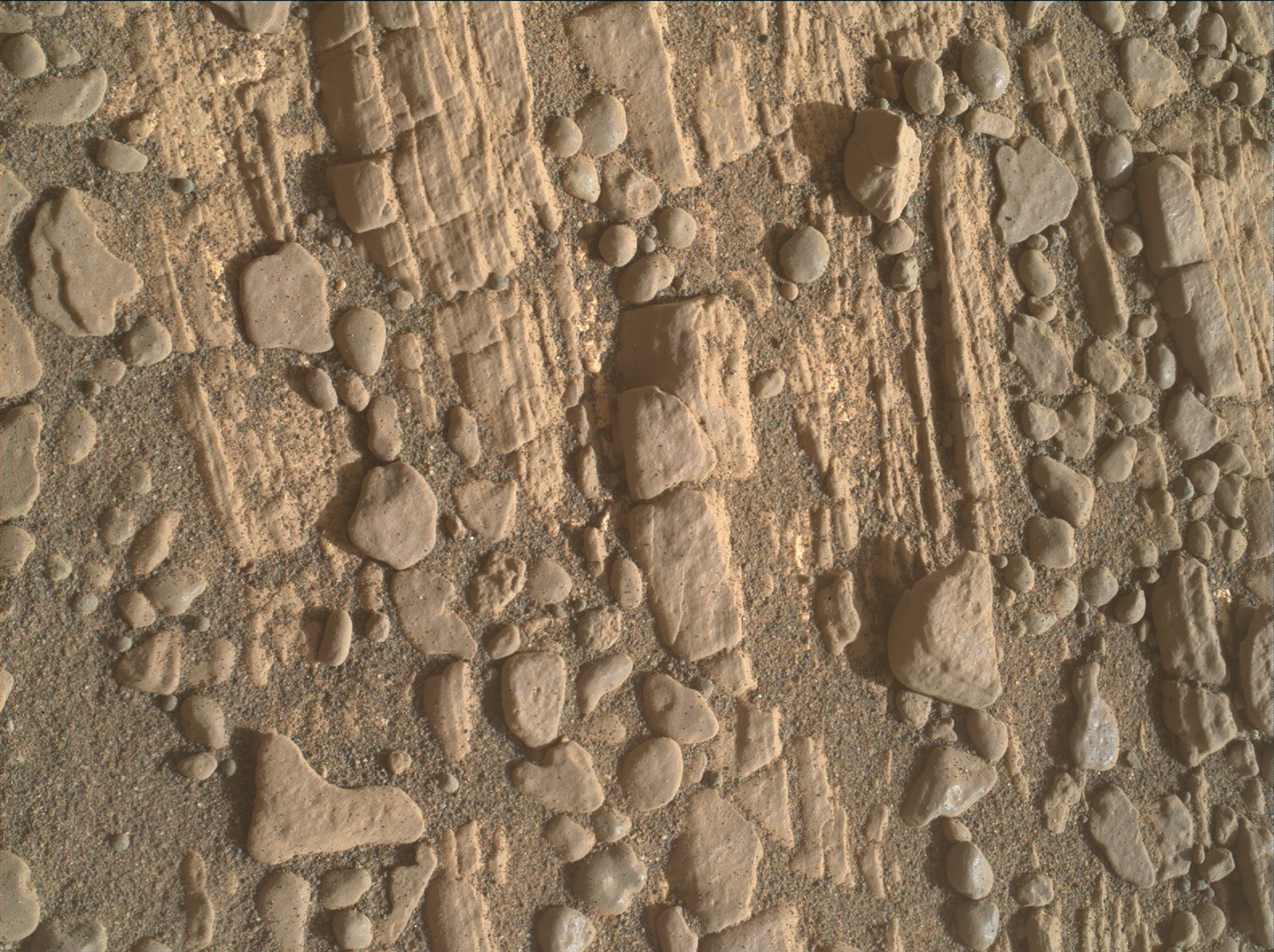 Nasa's Mars rover Curiosity acquired this image using its Mars Hand Lens Imager (MAHLI) on Sol 2426