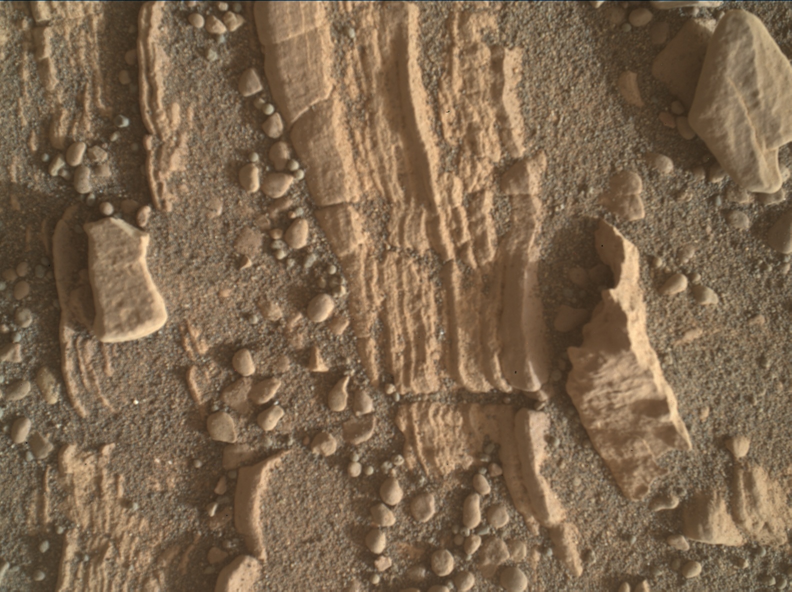 Nasa's Mars rover Curiosity acquired this image using its Mars Hand Lens Imager (MAHLI) on Sol 2427