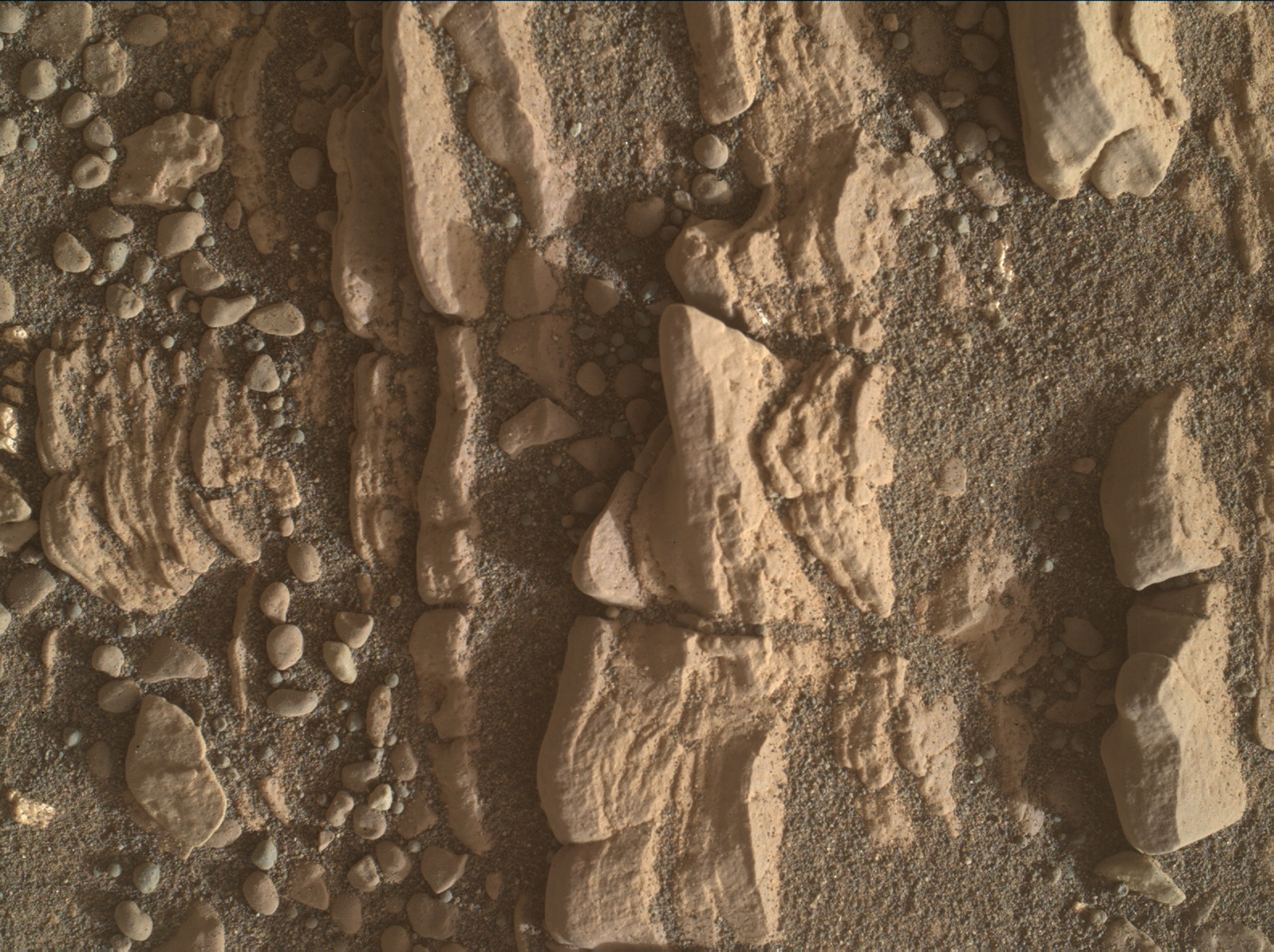 Nasa's Mars rover Curiosity acquired this image using its Mars Hand Lens Imager (MAHLI) on Sol 2427