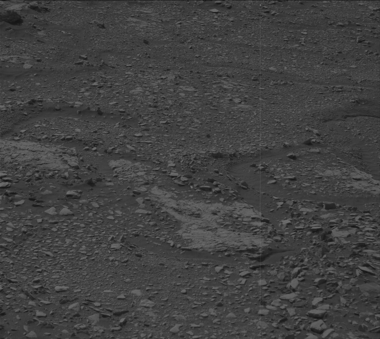 Nasa's Mars rover Curiosity acquired this image using its Mast Camera (Mastcam) on Sol 2434