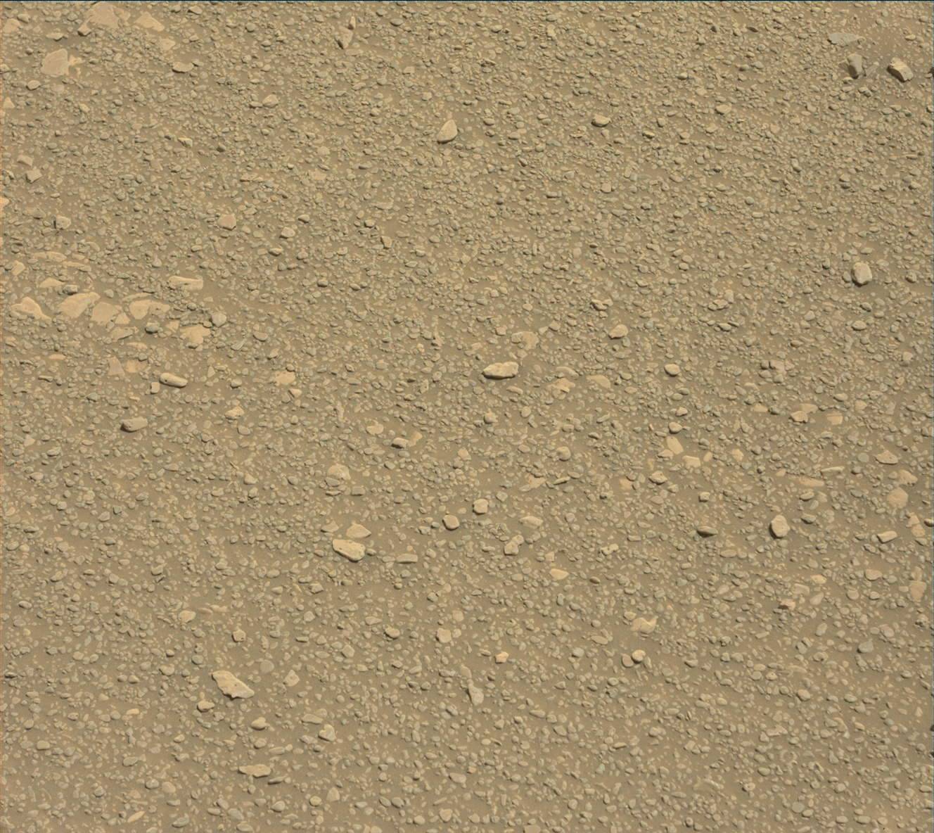 Nasa's Mars rover Curiosity acquired this image using its Mast Camera (Mastcam) on Sol 2436