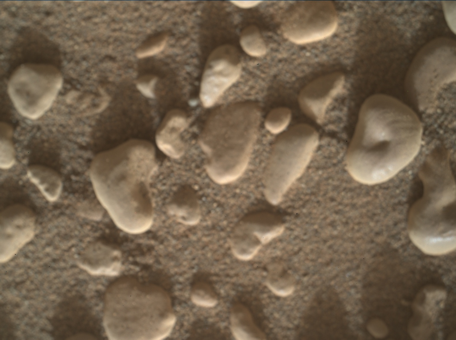 Nasa's Mars rover Curiosity acquired this image using its Mars Hand Lens Imager (MAHLI) on Sol 2437