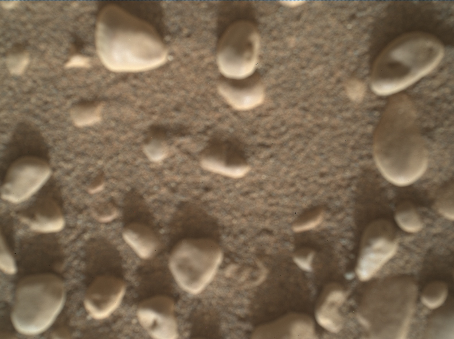Nasa's Mars rover Curiosity acquired this image using its Mars Hand Lens Imager (MAHLI) on Sol 2437