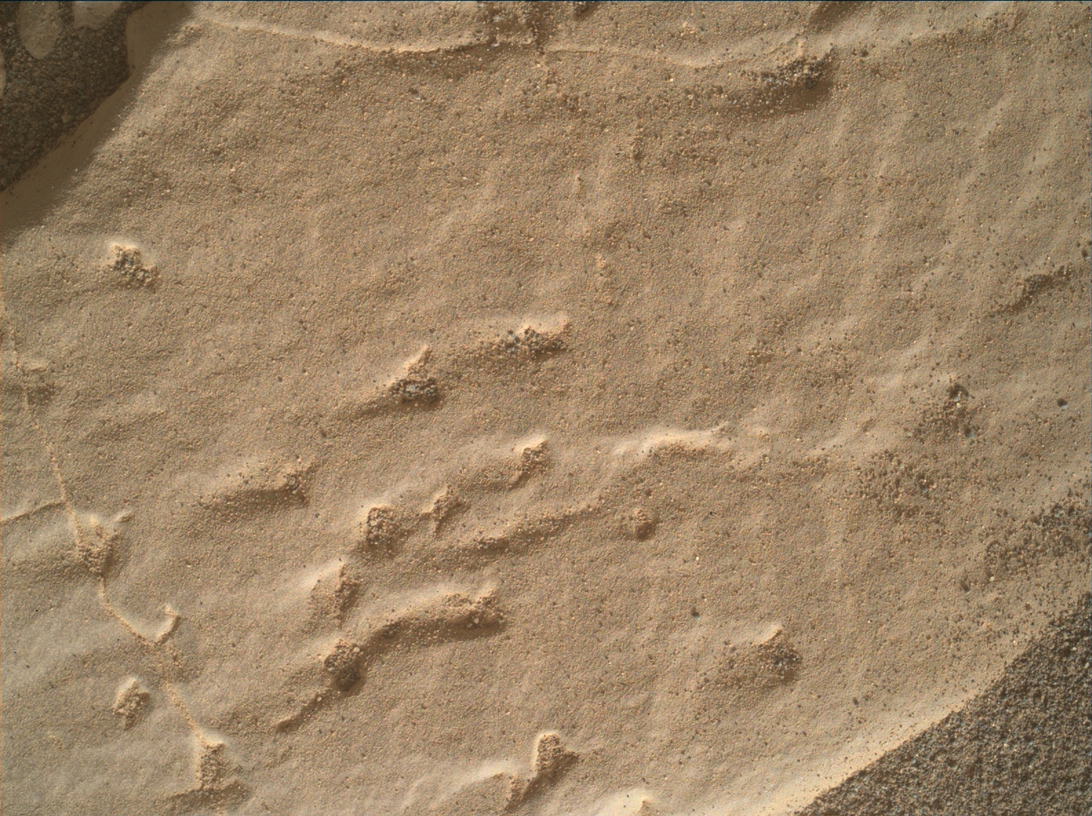 Nasa's Mars rover Curiosity acquired this image using its Mars Hand Lens Imager (MAHLI) on Sol 2439