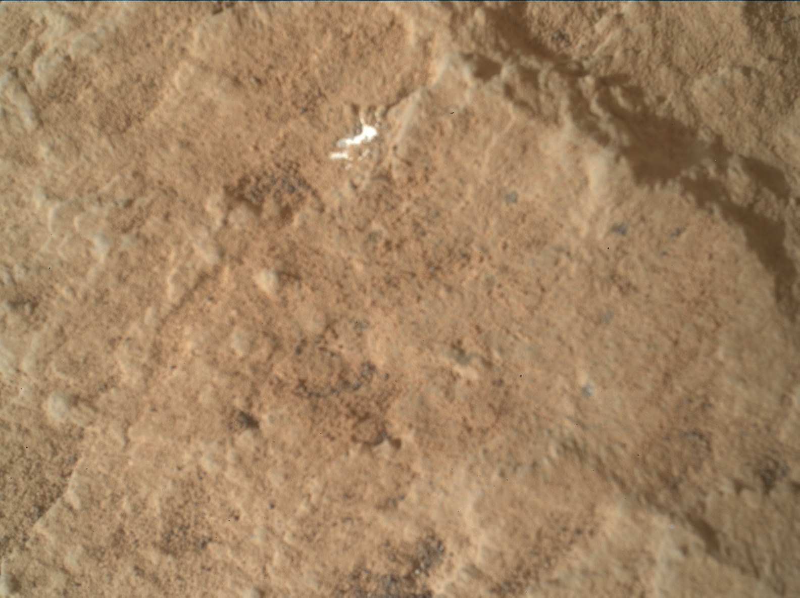 Nasa's Mars rover Curiosity acquired this image using its Mars Hand Lens Imager (MAHLI) on Sol 2441
