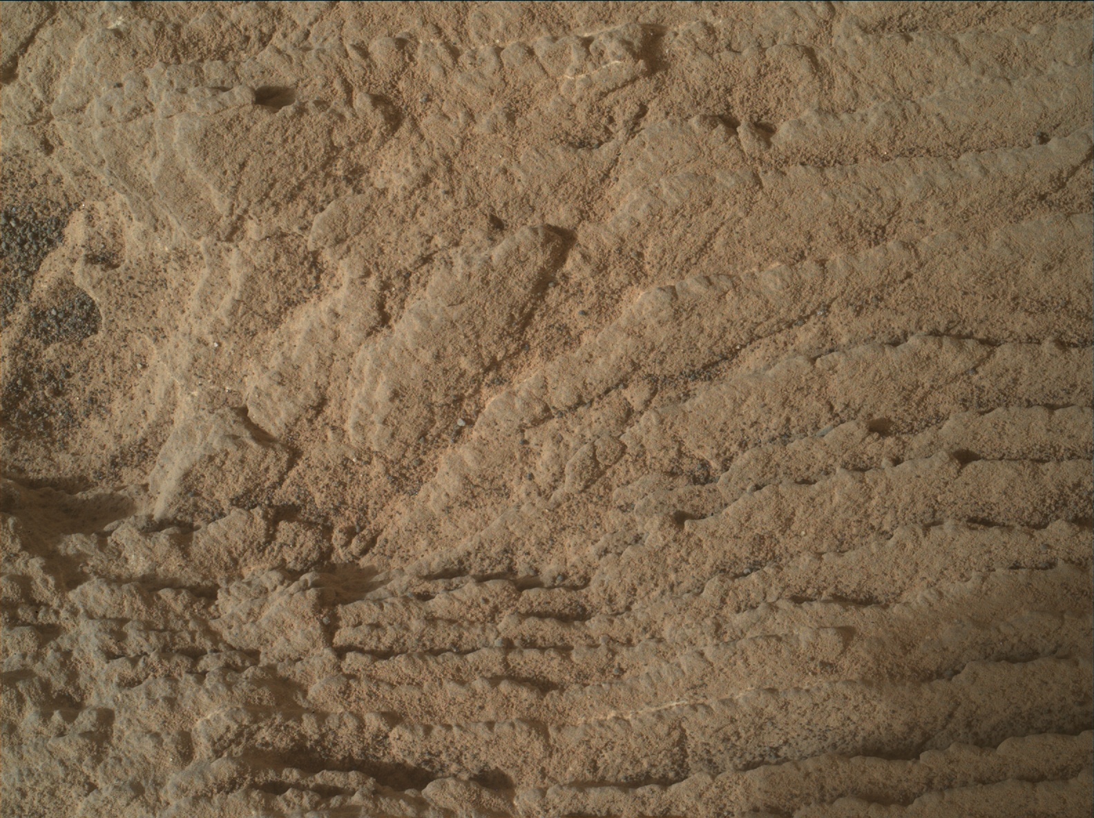Nasa's Mars rover Curiosity acquired this image using its Mars Hand Lens Imager (MAHLI) on Sol 2444
