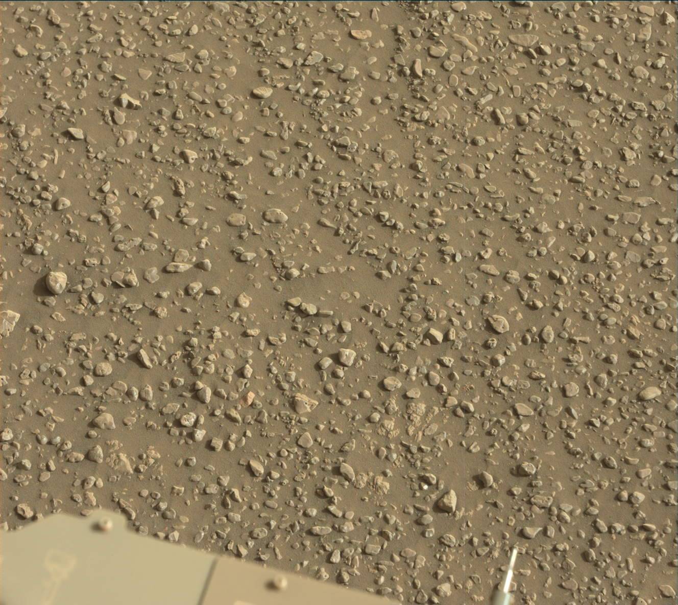 Nasa's Mars rover Curiosity acquired this image using its Mast Camera (Mastcam) on Sol 2447