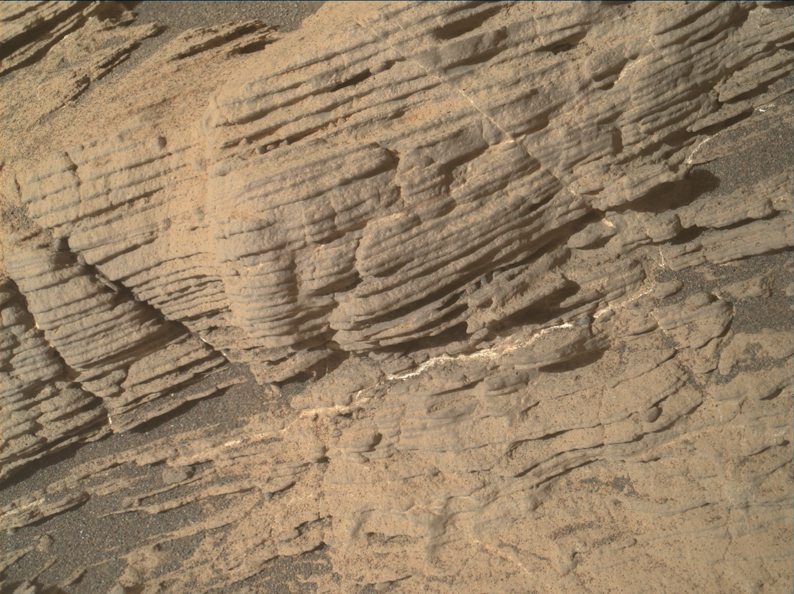 Nasa's Mars rover Curiosity acquired this image using its Mars Hand Lens Imager (MAHLI) on Sol 2448