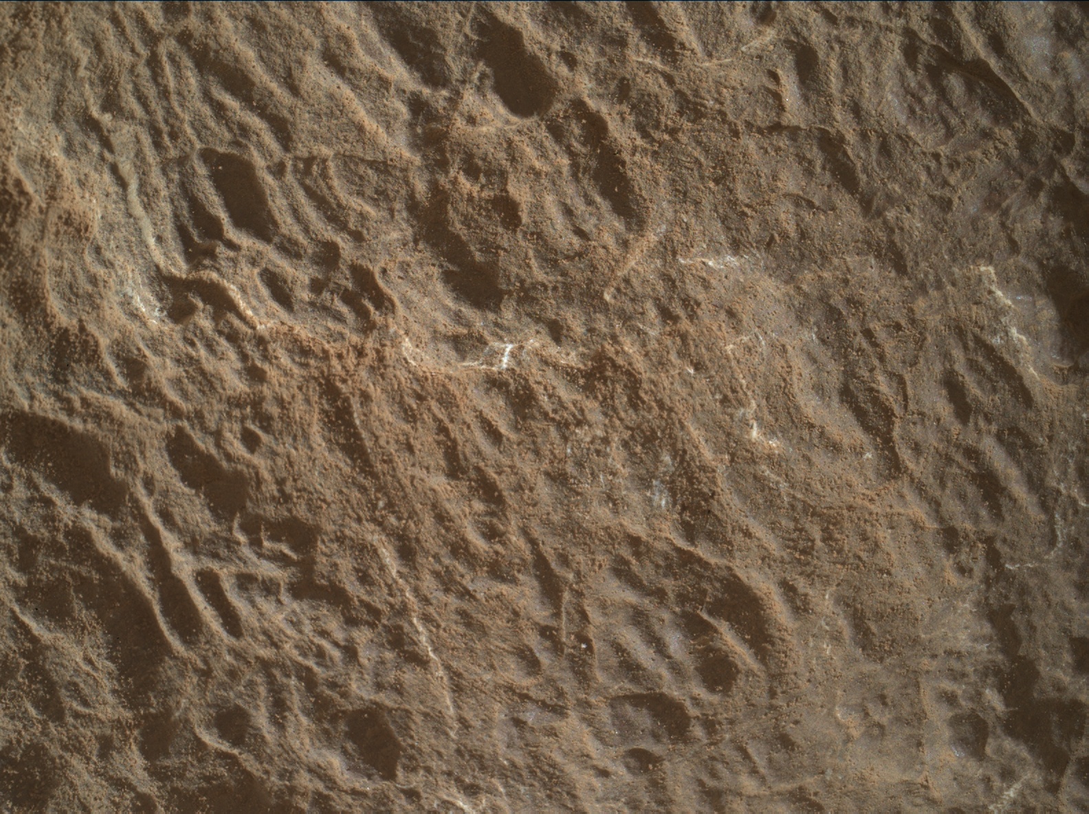 Nasa's Mars rover Curiosity acquired this image using its Mars Hand Lens Imager (MAHLI) on Sol 2450